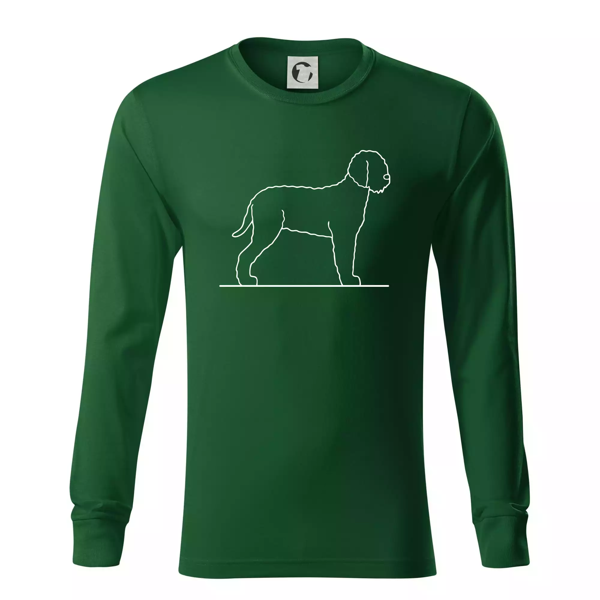 Lagotto romagnolo stojící