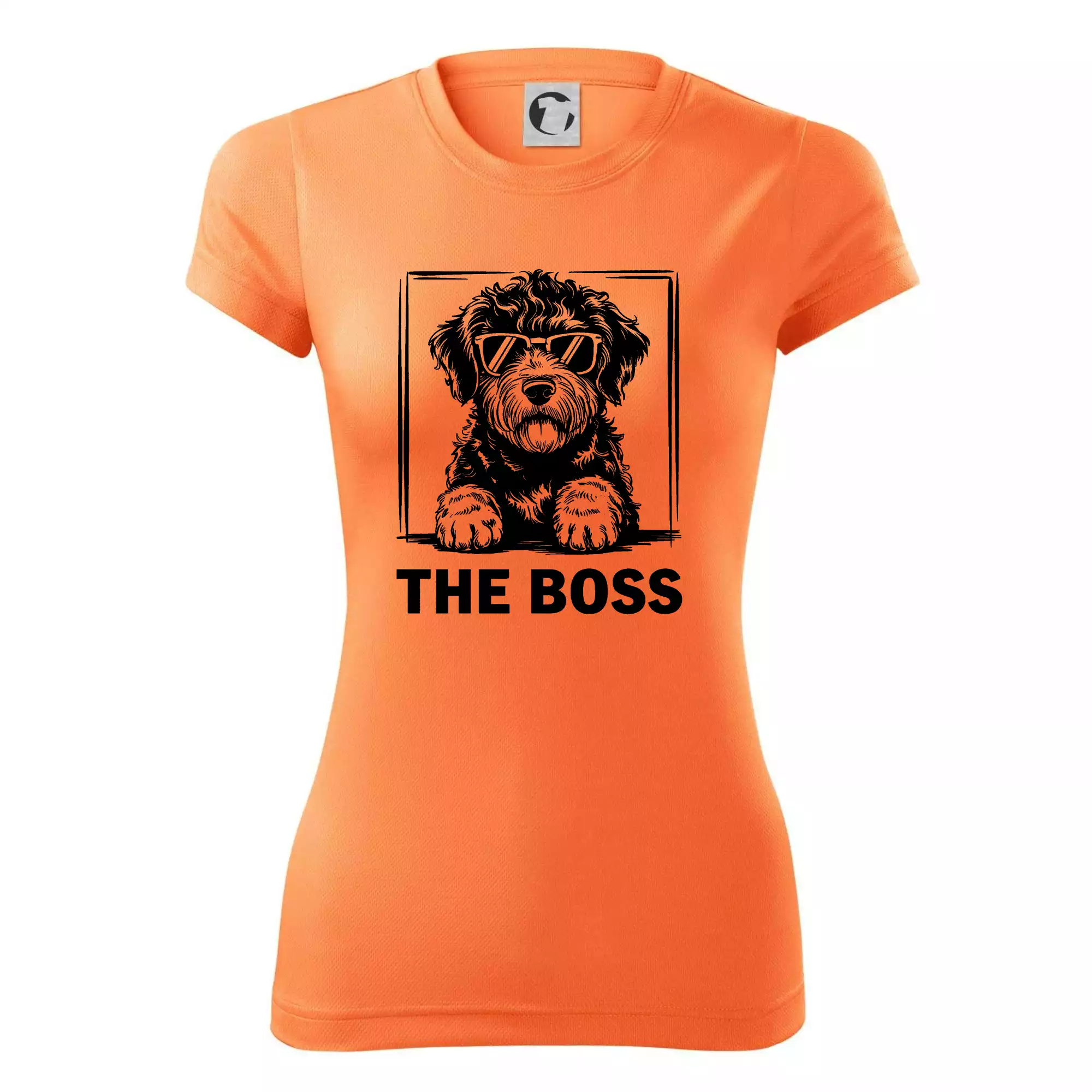 Lagotto romagnolo the boss