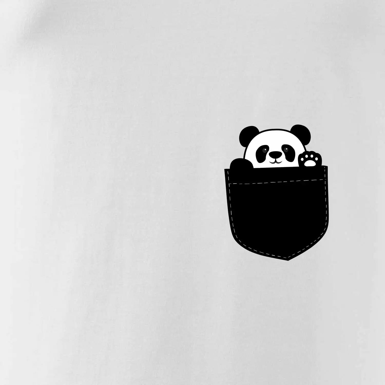 Panda v kapse