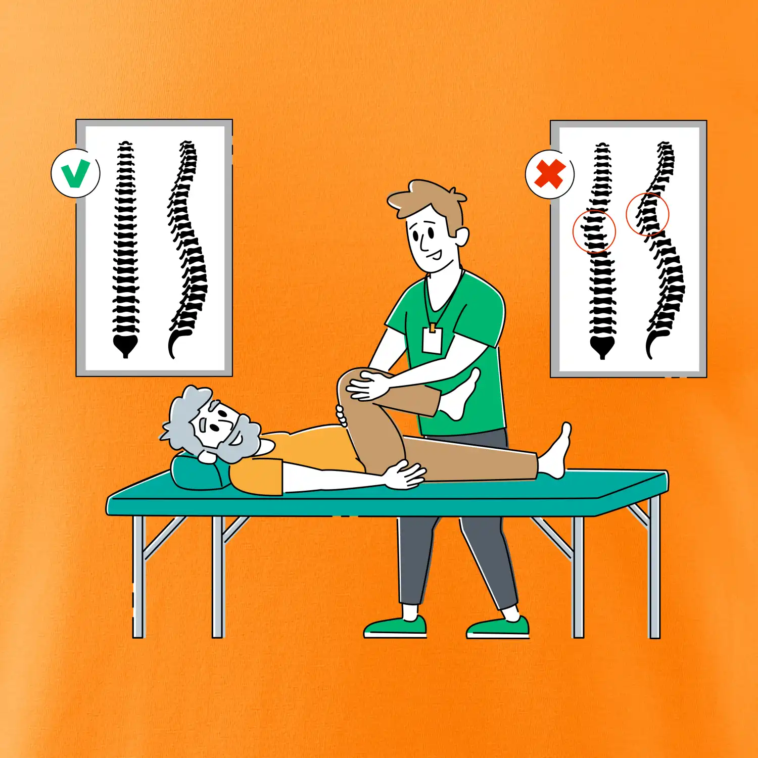 Fyziologické zakřivení páteře