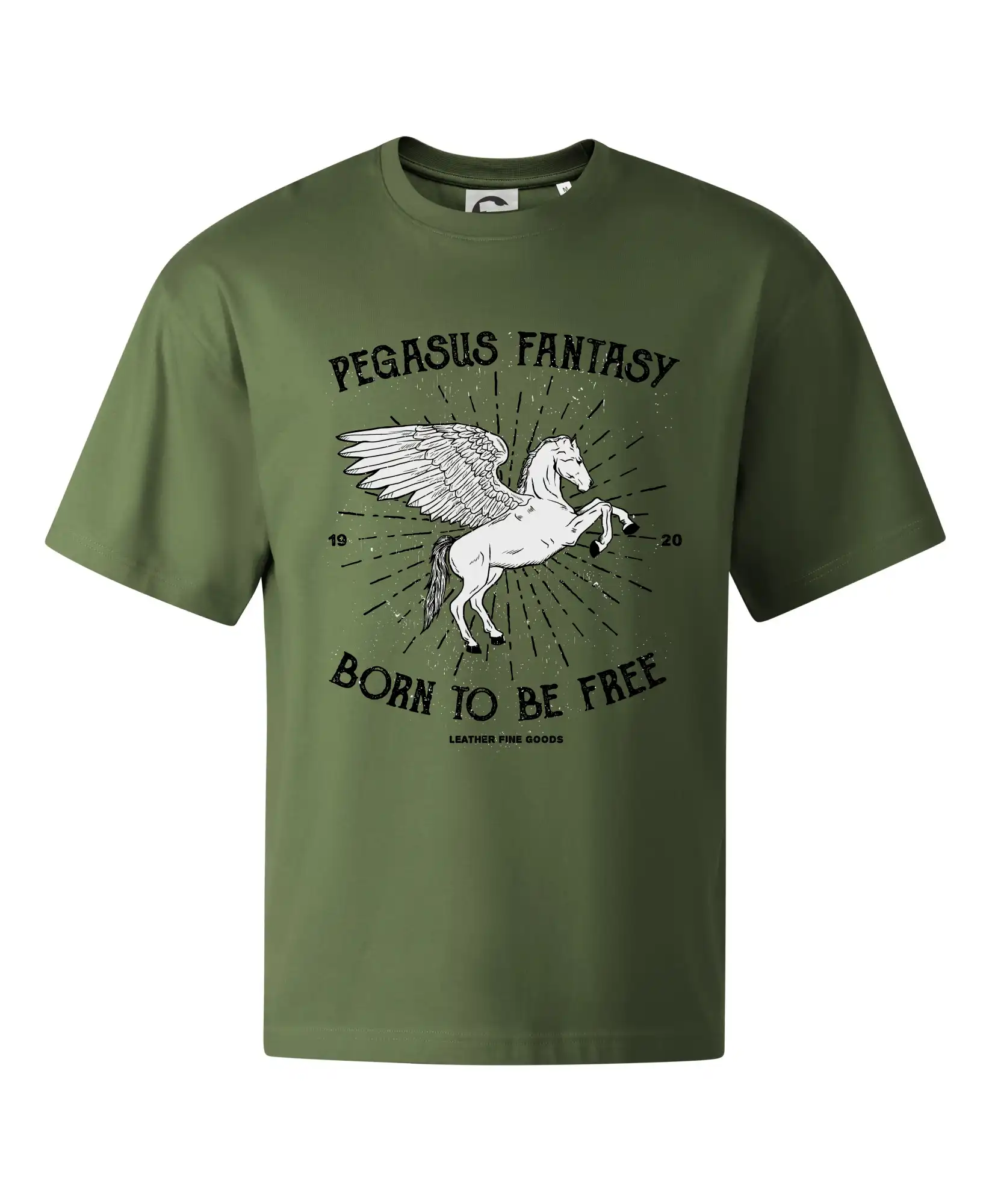 Pegasus fantasy