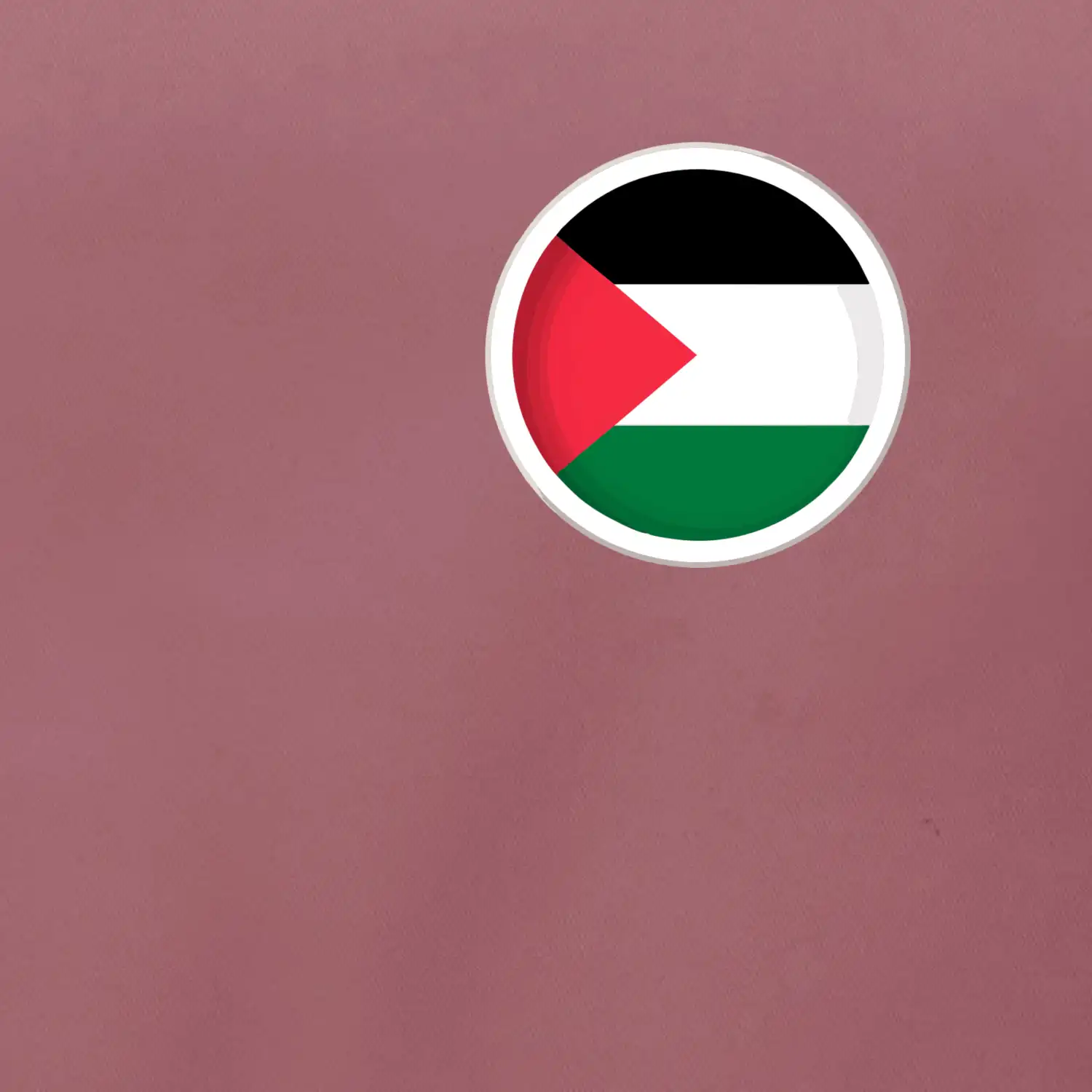 Palestina vlajka prso