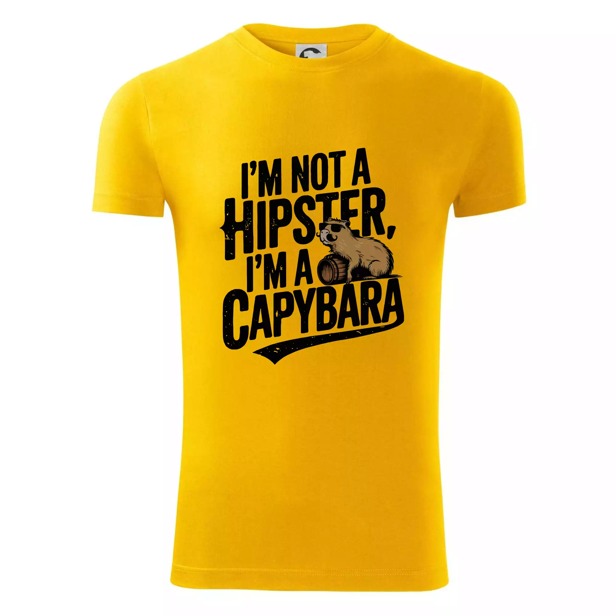 I'm not a hipster, I'm a capybara