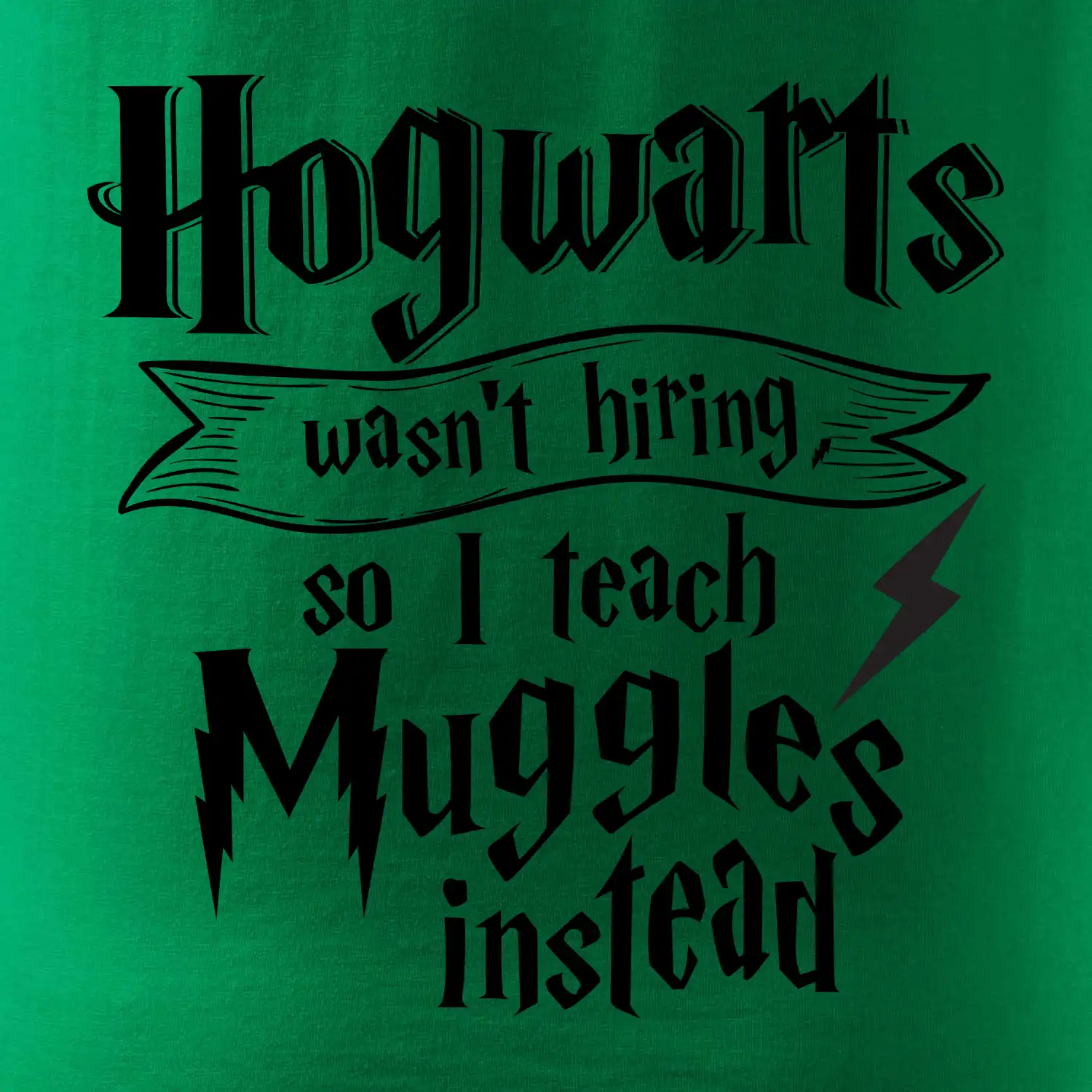 Harry - Hogwarts wasn’t hiring, so I teach Muggles instead