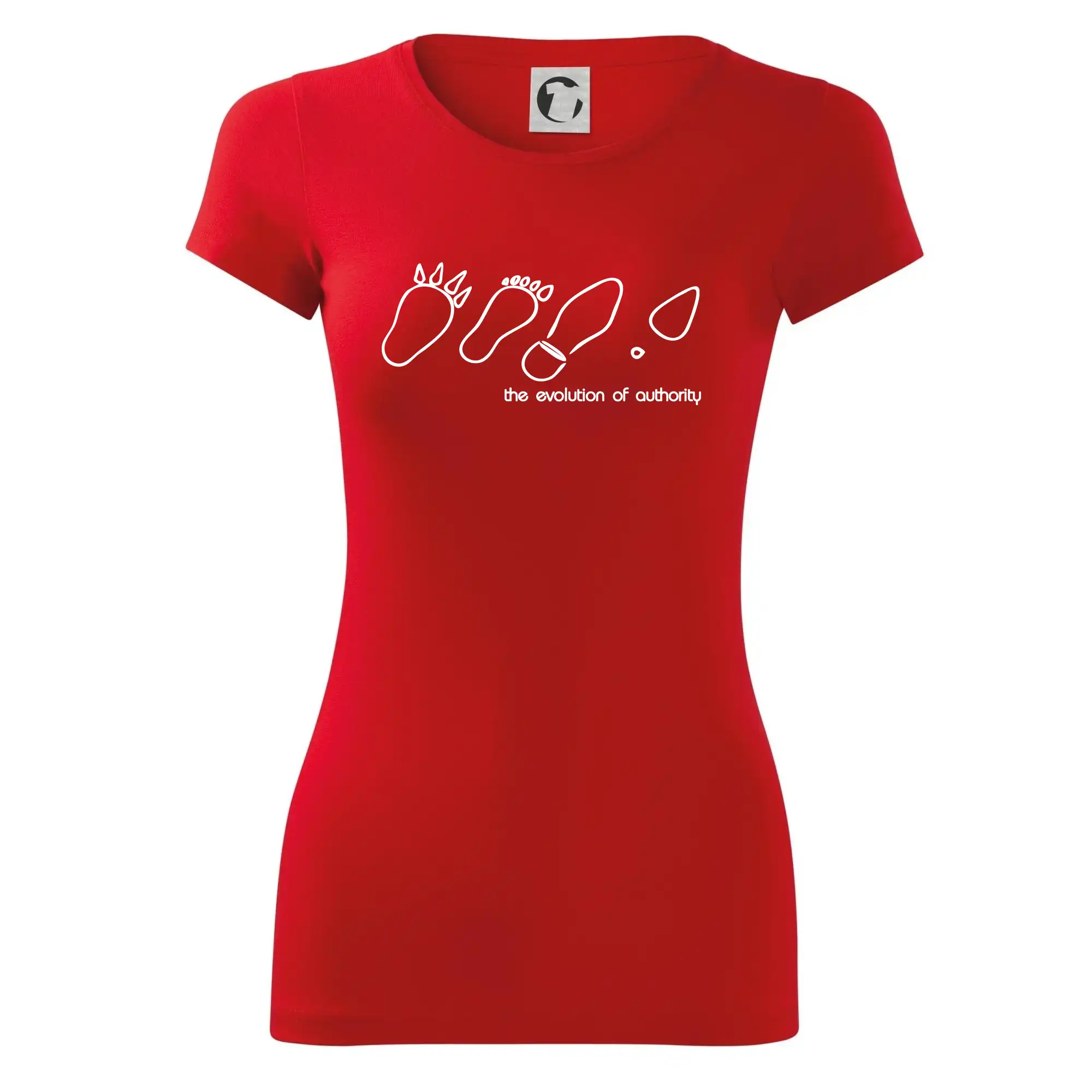 Evolution of authority