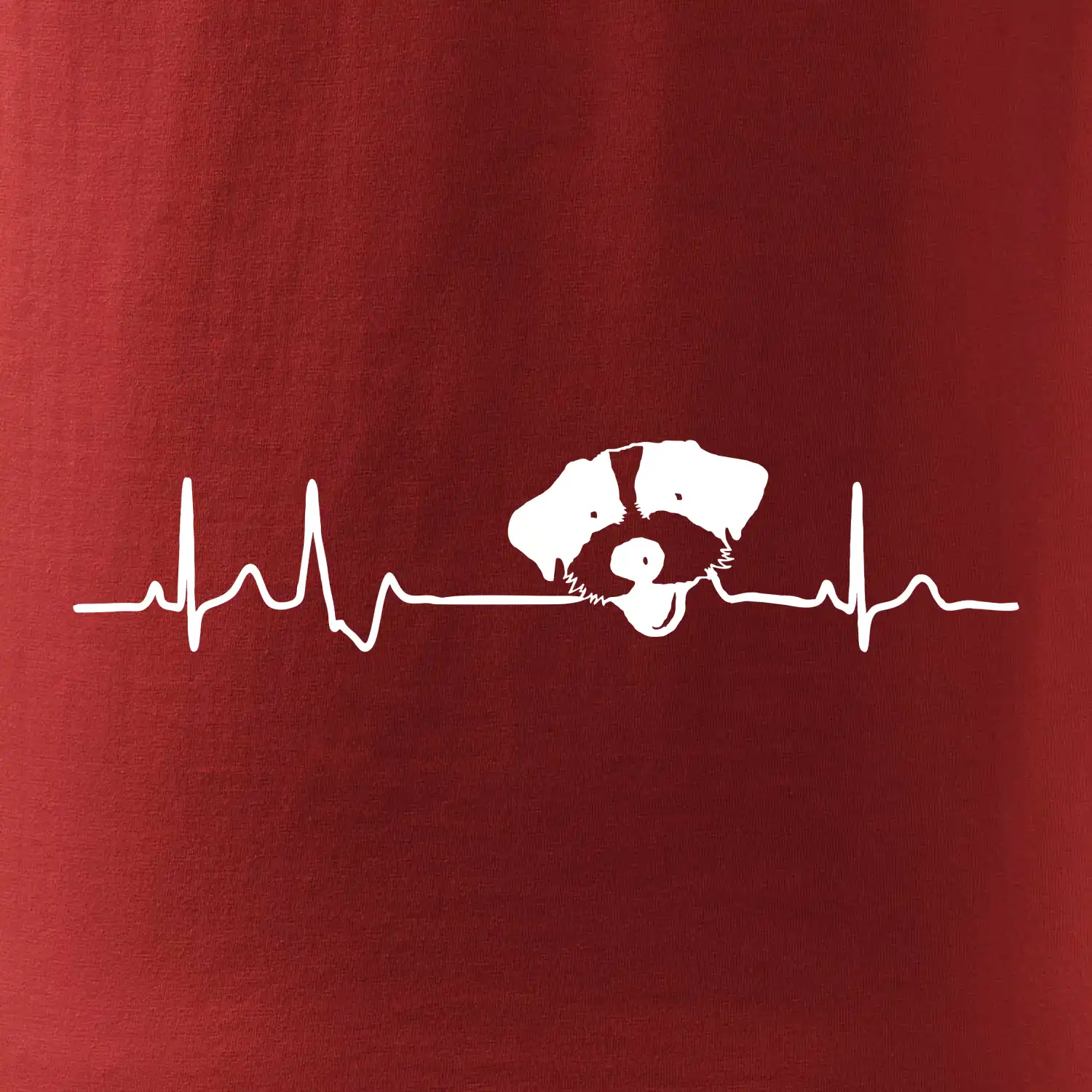Jack Russell Terriér hrubosrstý Ekg
