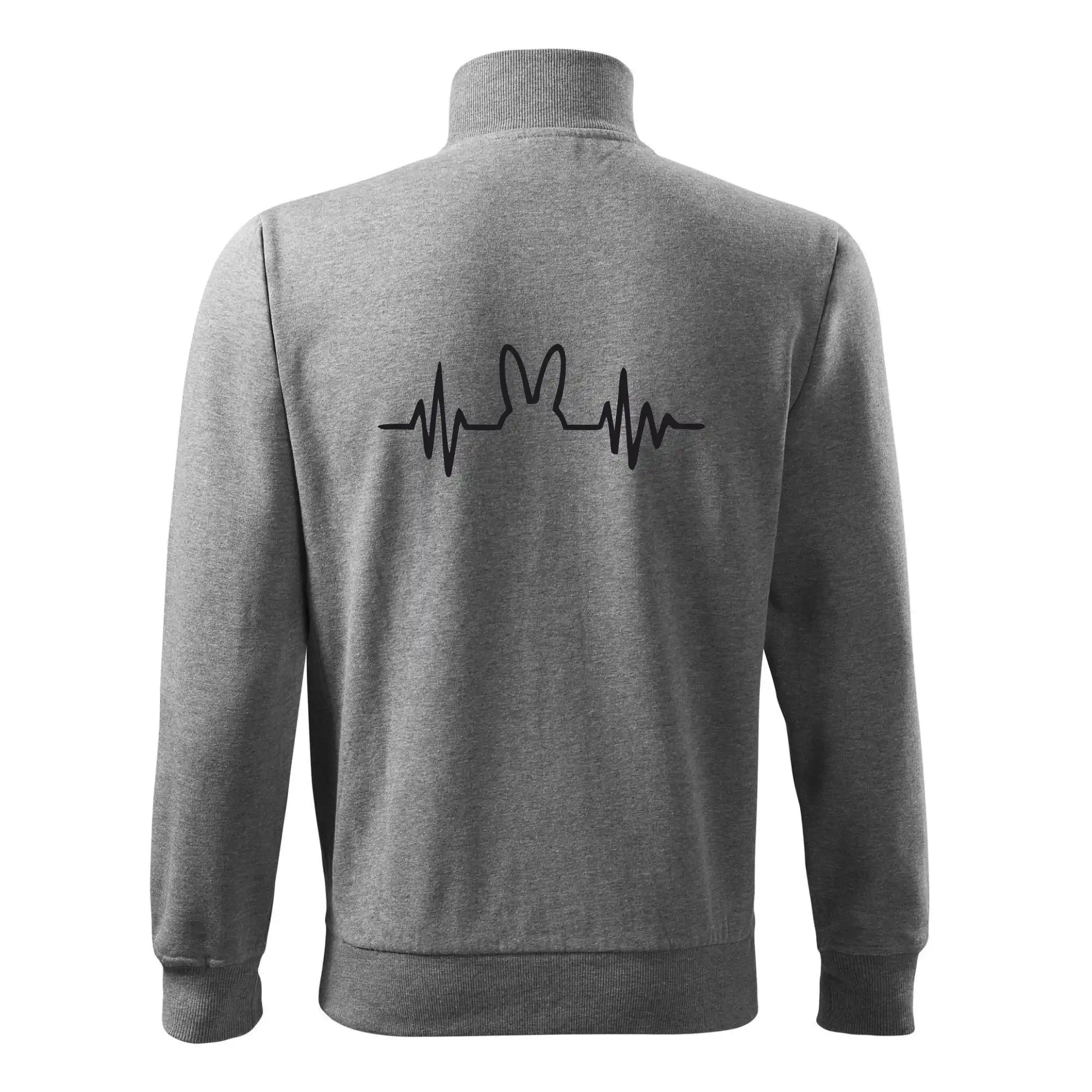 EKG zajíc