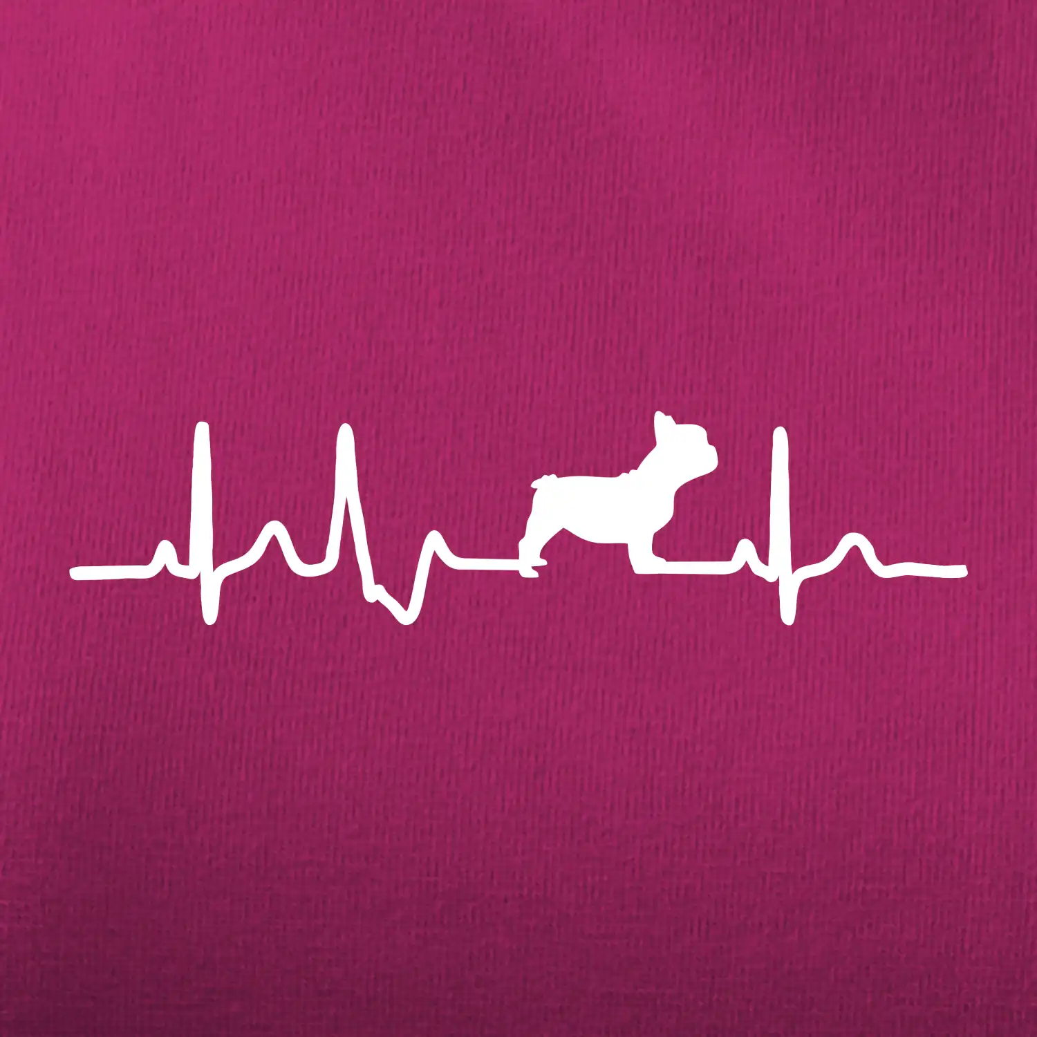 EKG Francouzský buldoček z boku