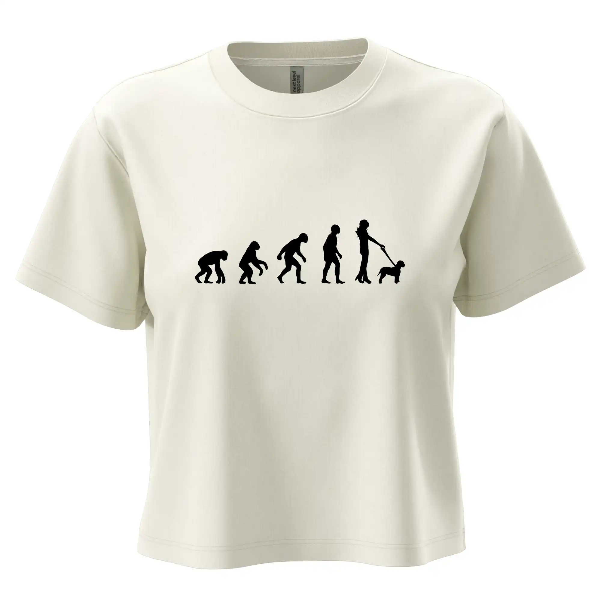 Lagotto romagnolo Evoluce