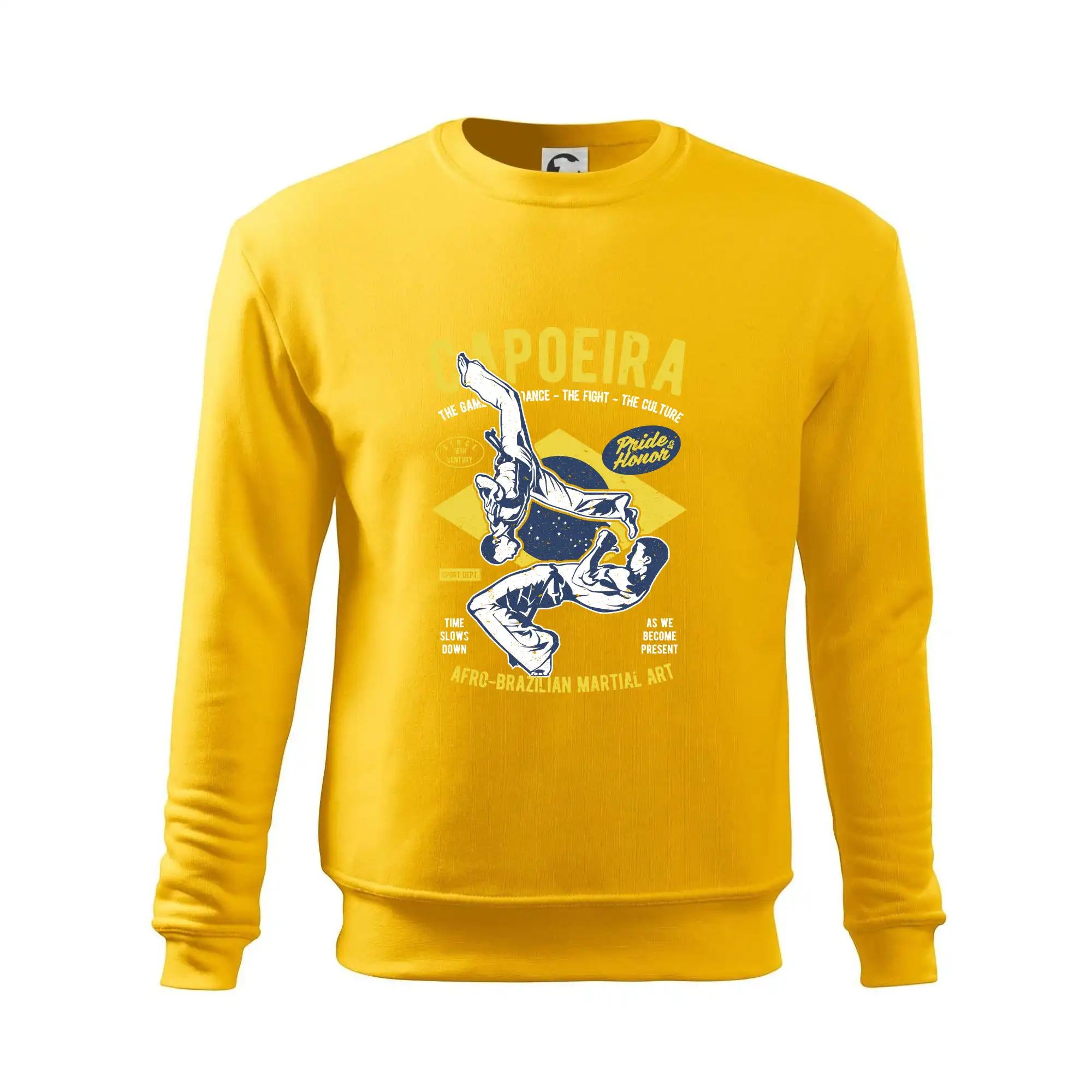 Capoeira  Afro-brazil art