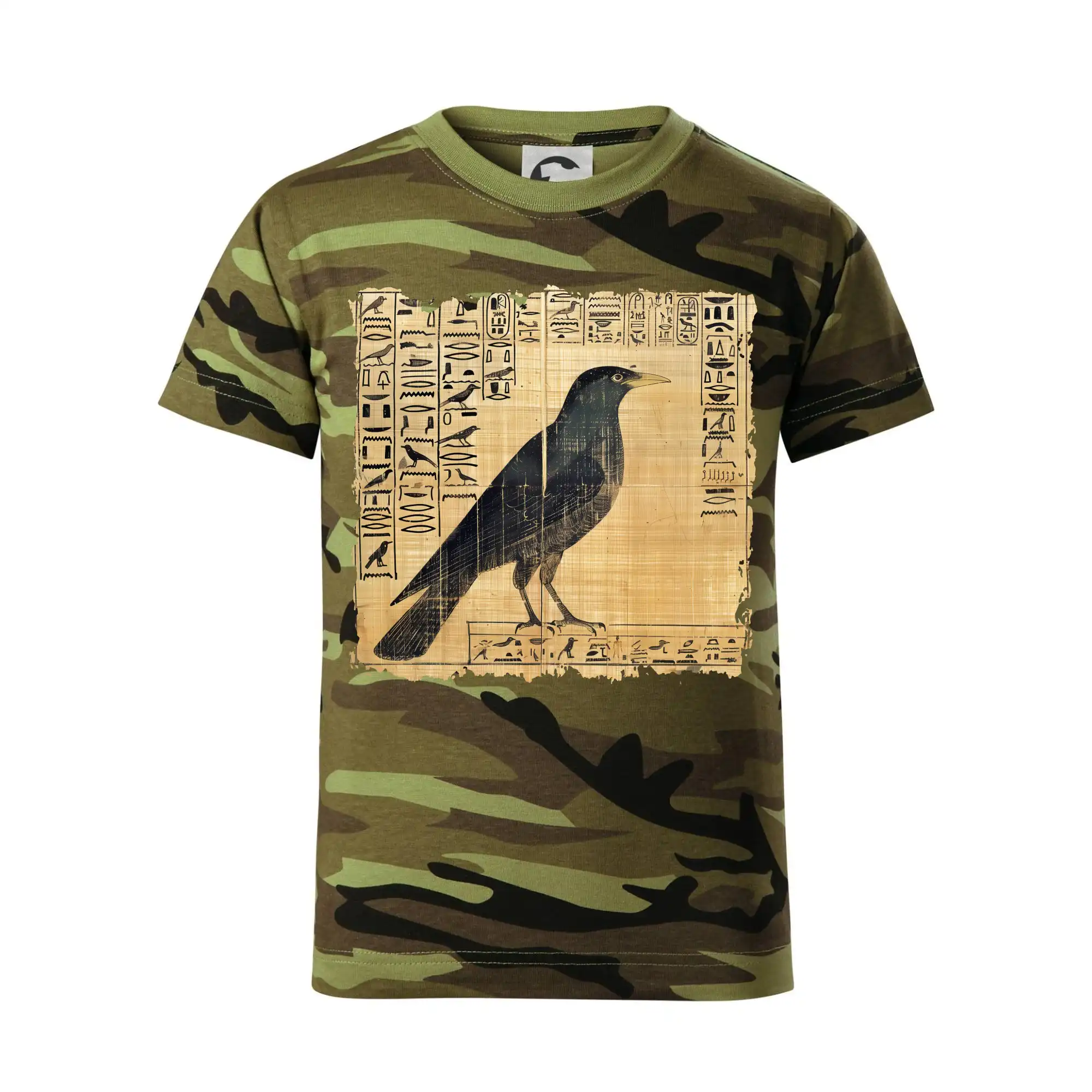 Egyptské hieroglyfy pták