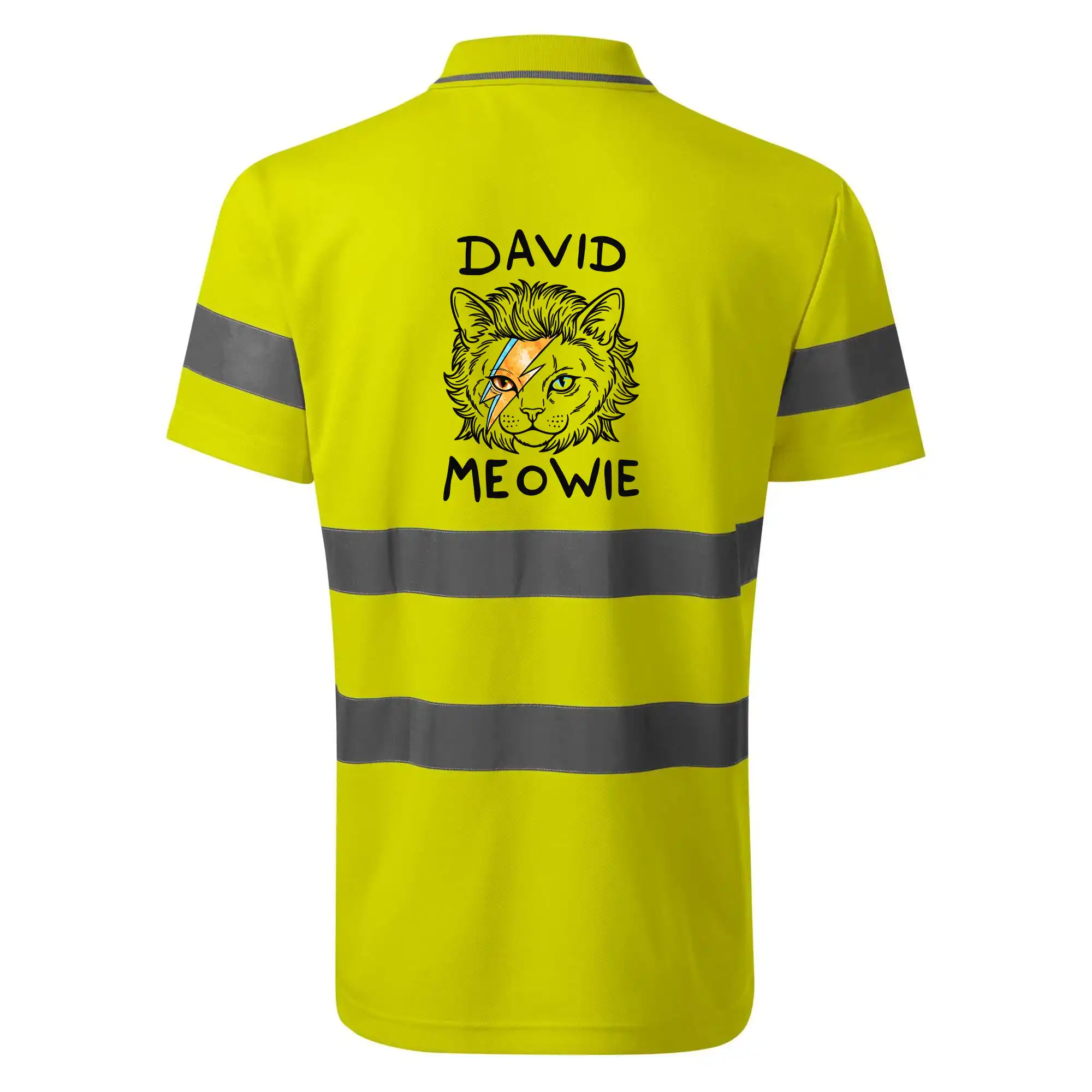 David Meowie