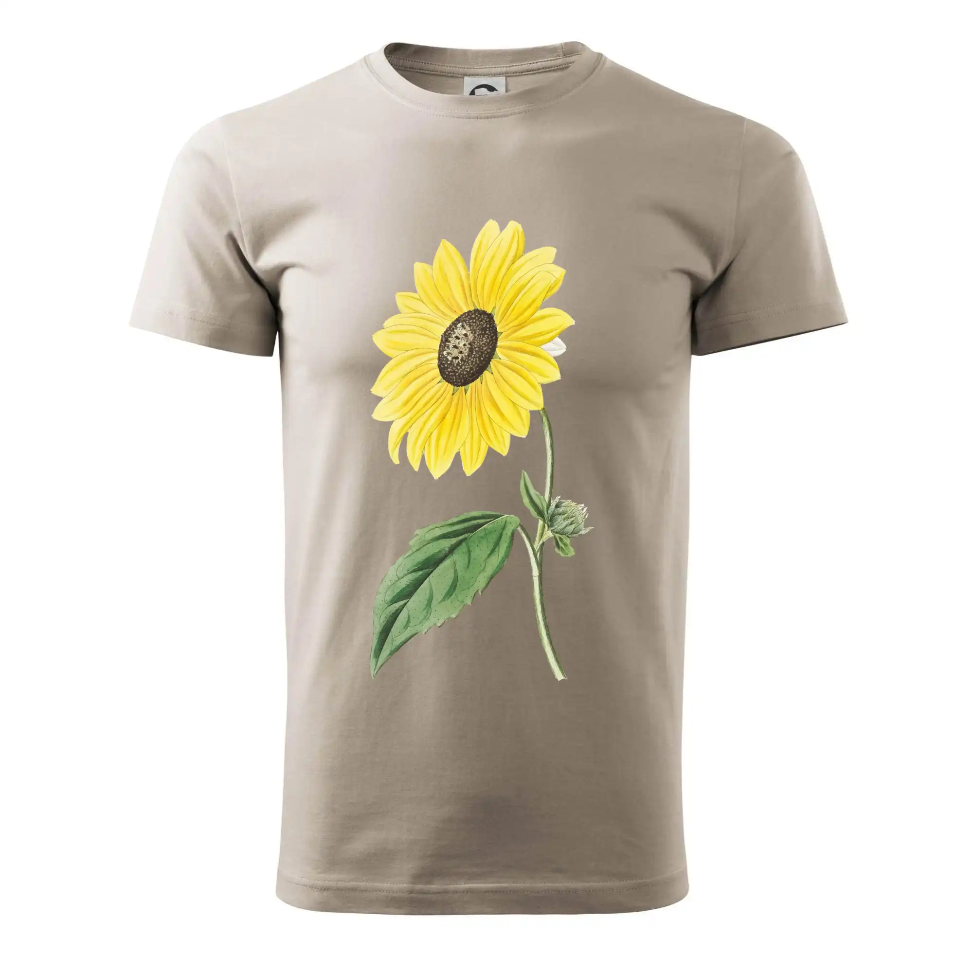 Slunečnice otočená