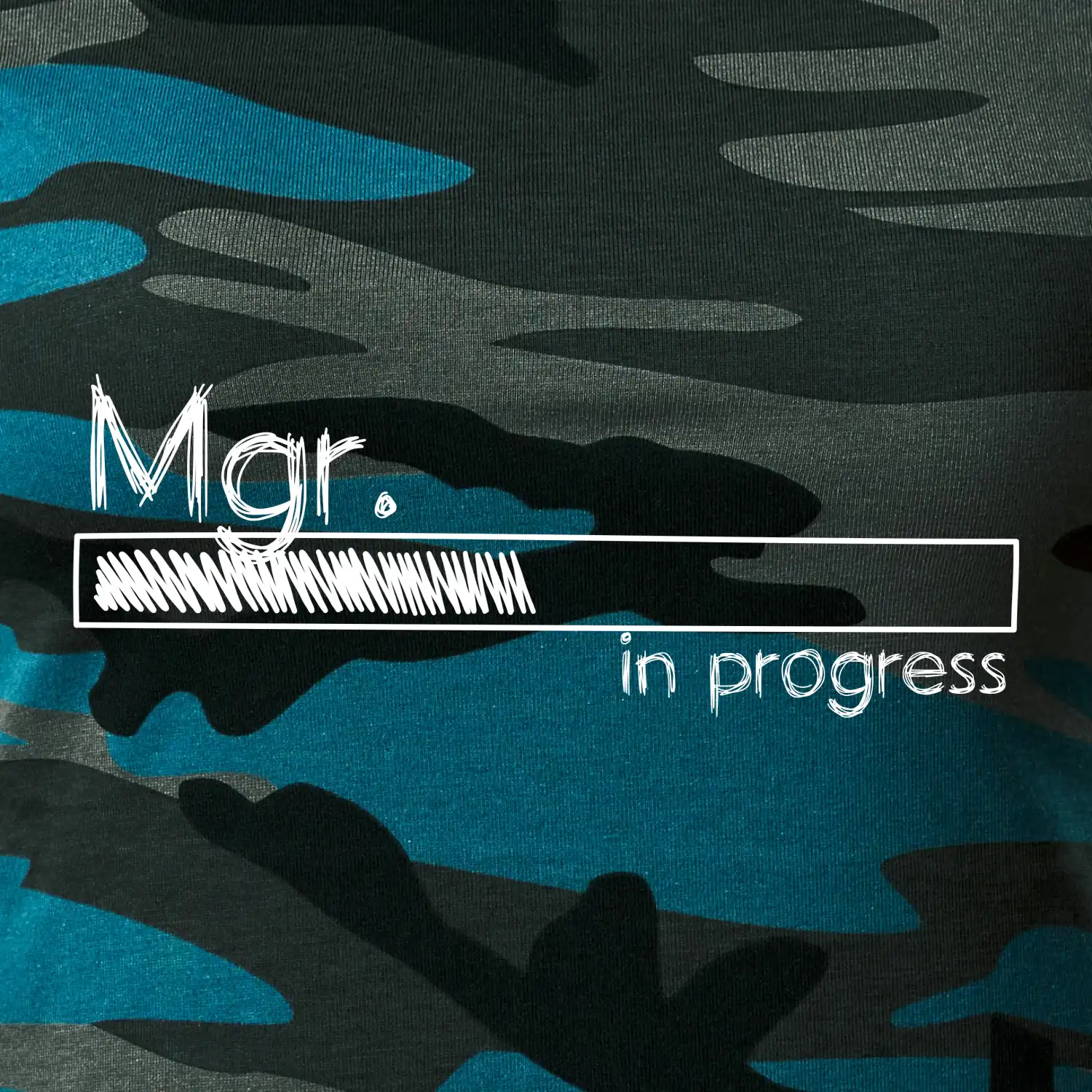 In progress titul Mgr.  magistr / magistra