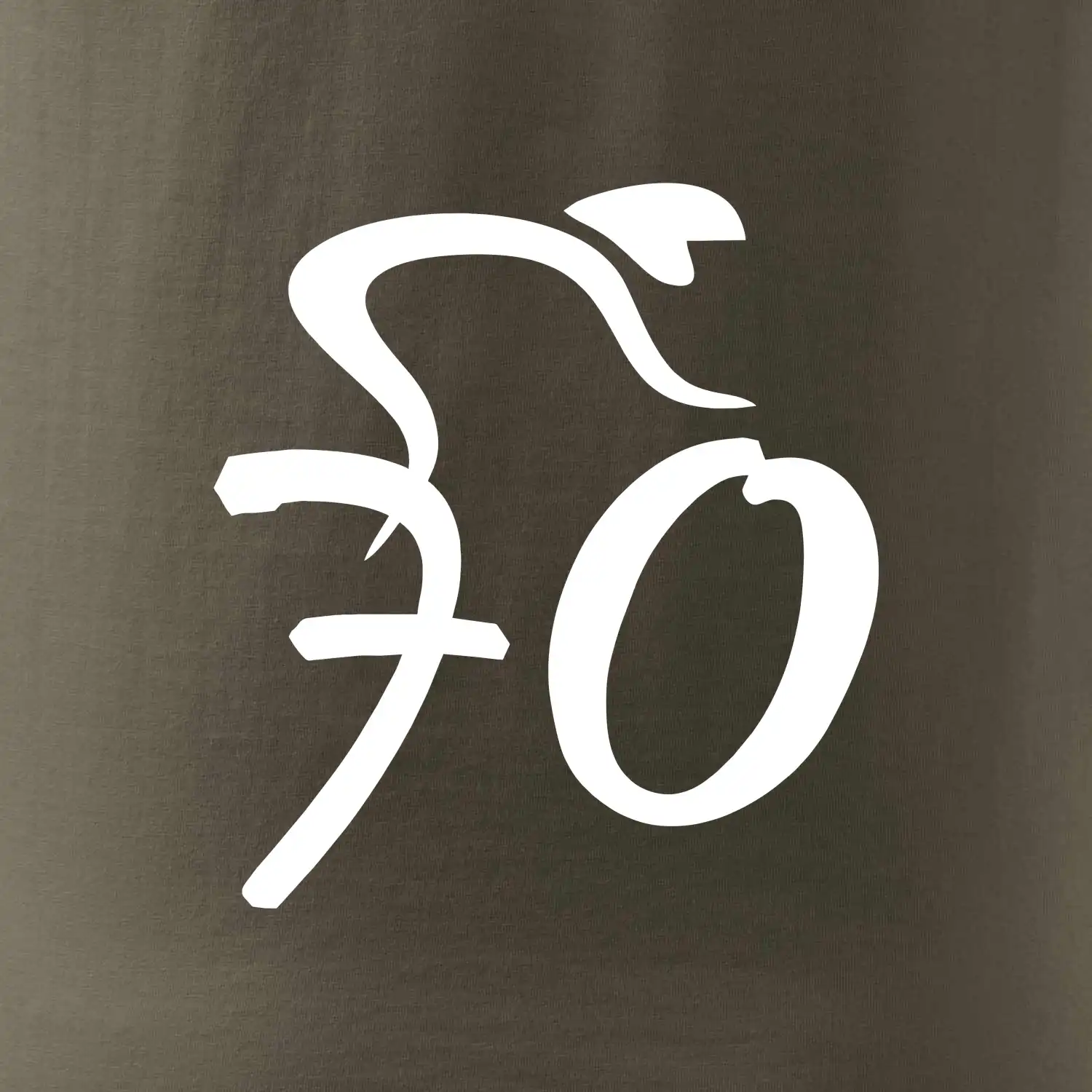 Cyklista slaví sedmdesátku (70)