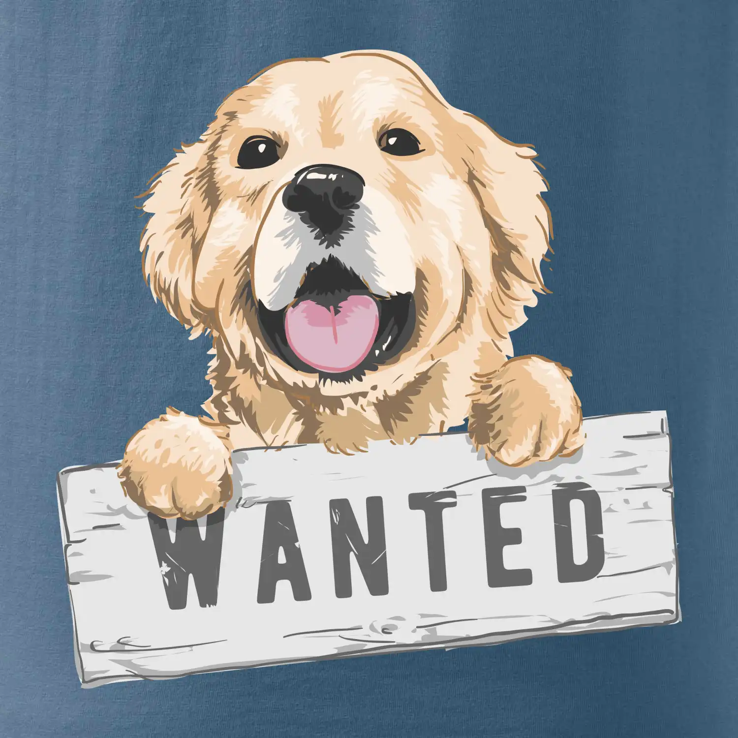 Zlatý retriever - štěně wanted