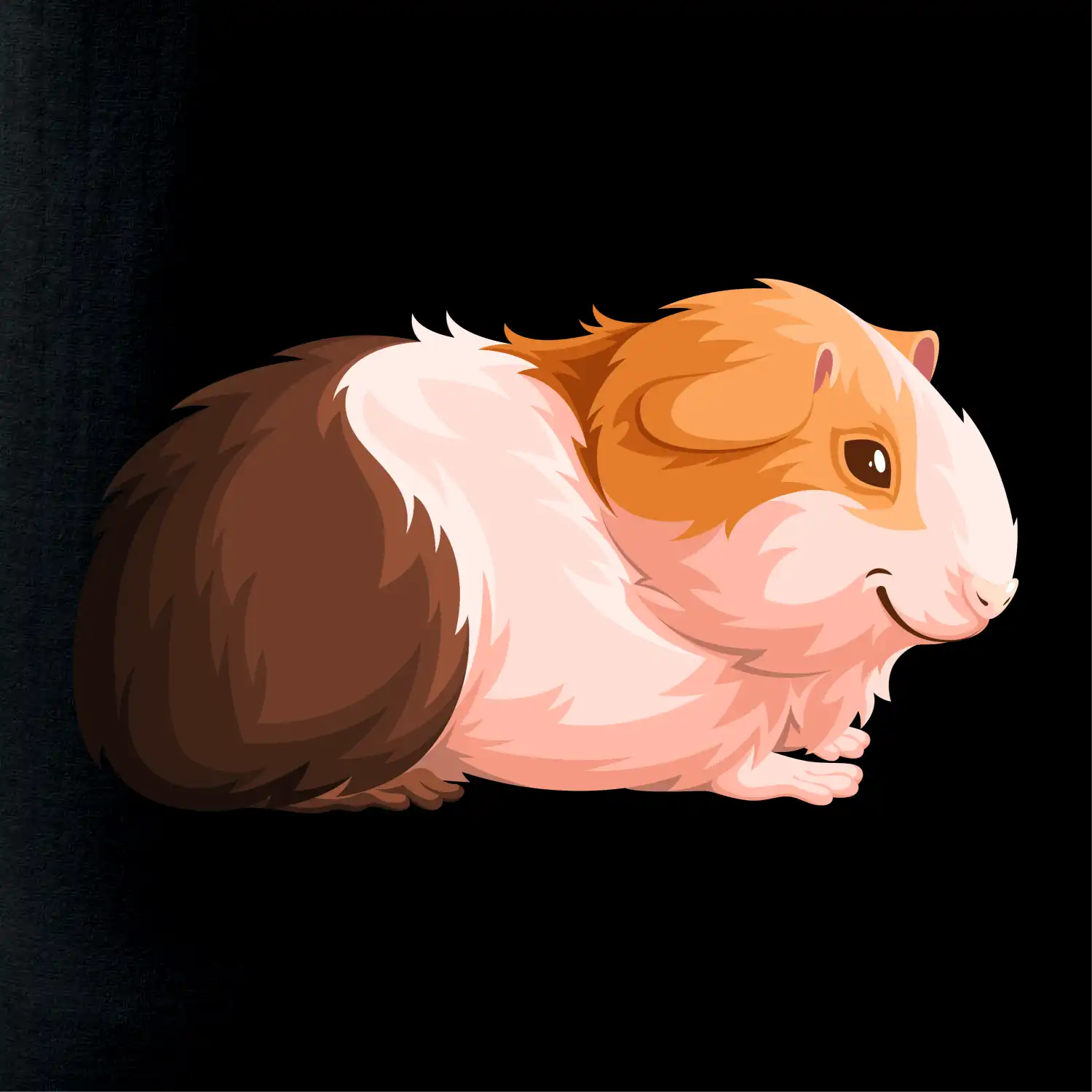 Morče - kreslené z boku