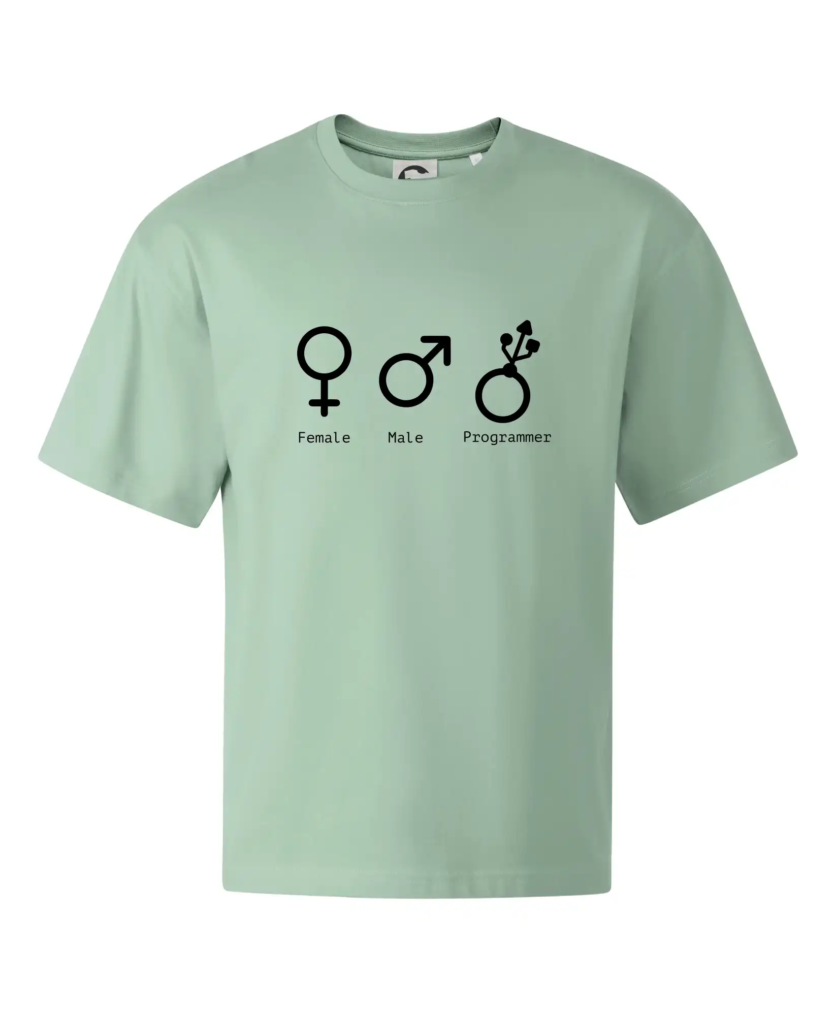 Female male programmer