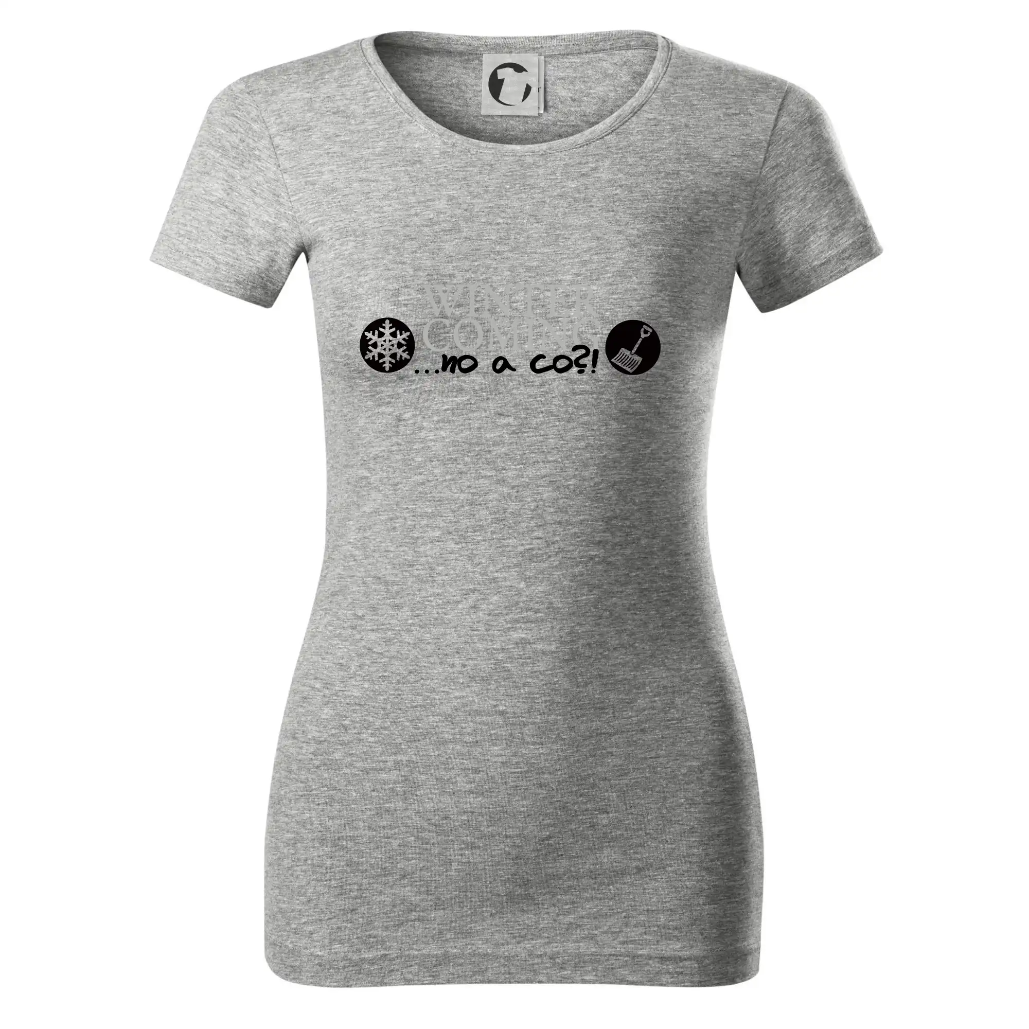 Winter Is Coming parodie