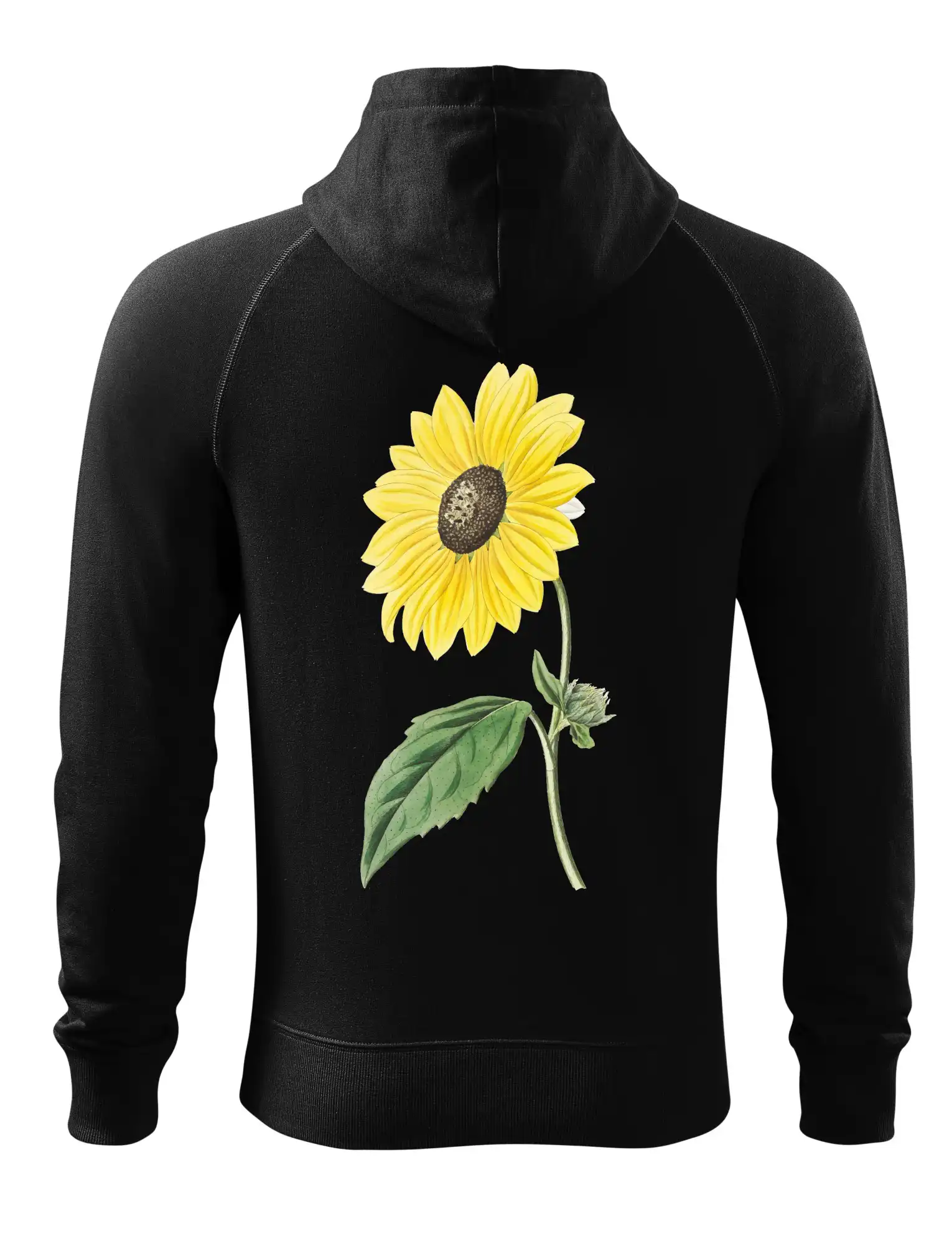 Slunečnice otočená