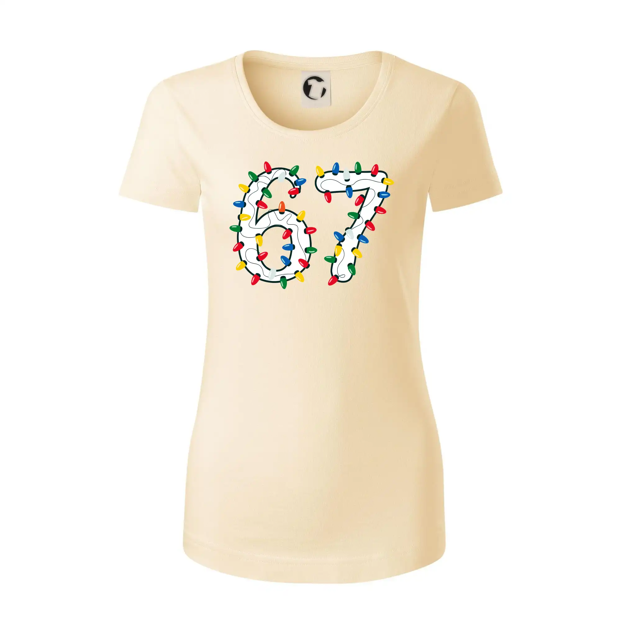 67 vánoční osvětlení