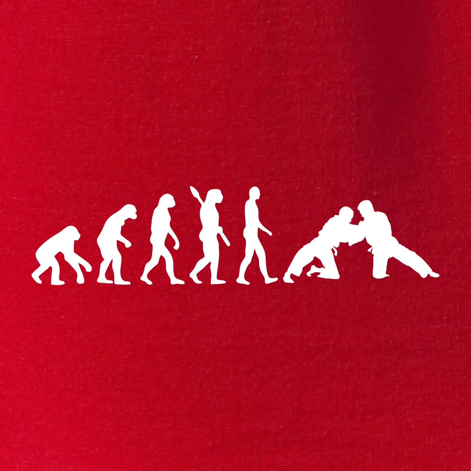 Judo Evoluce