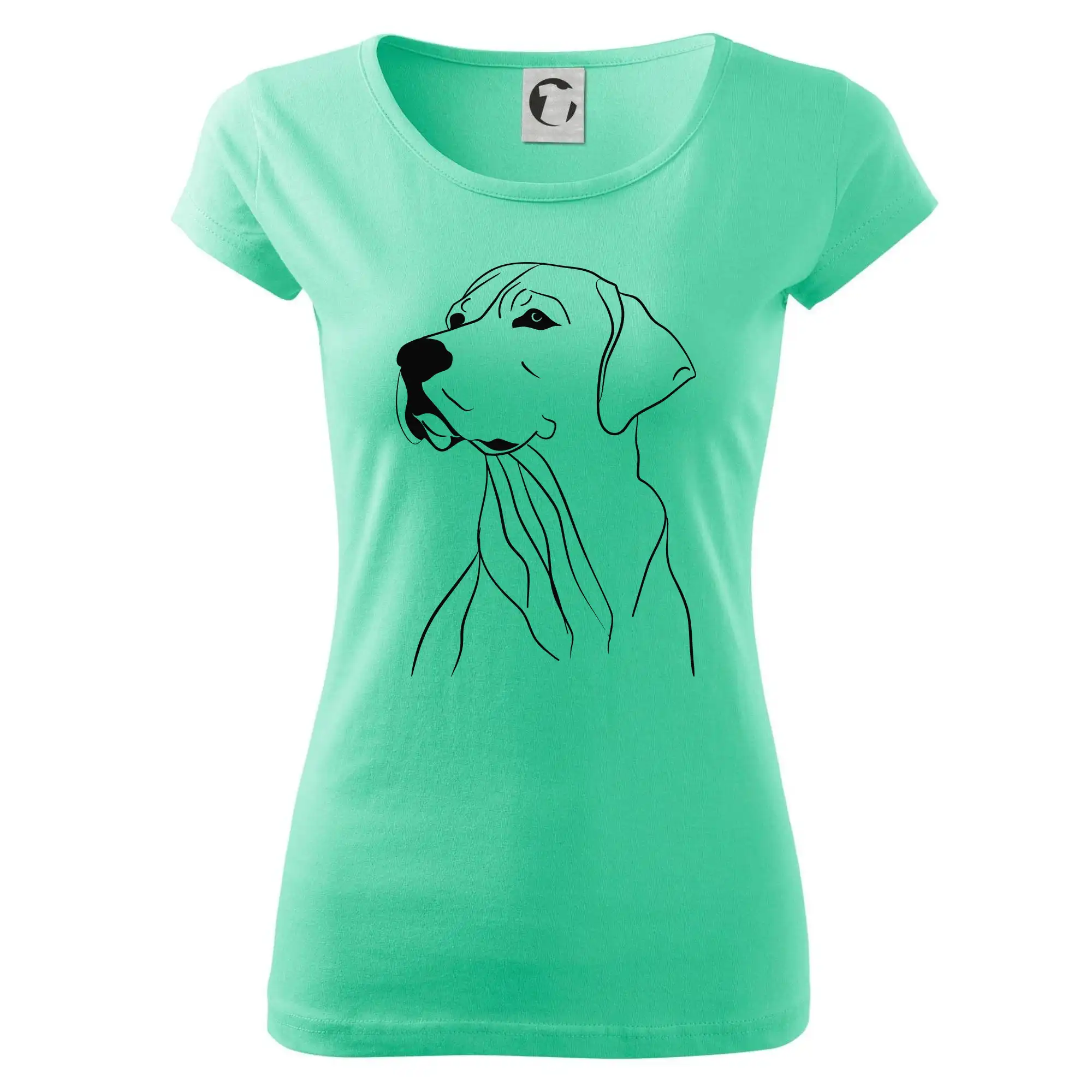 Labrador černá kresba