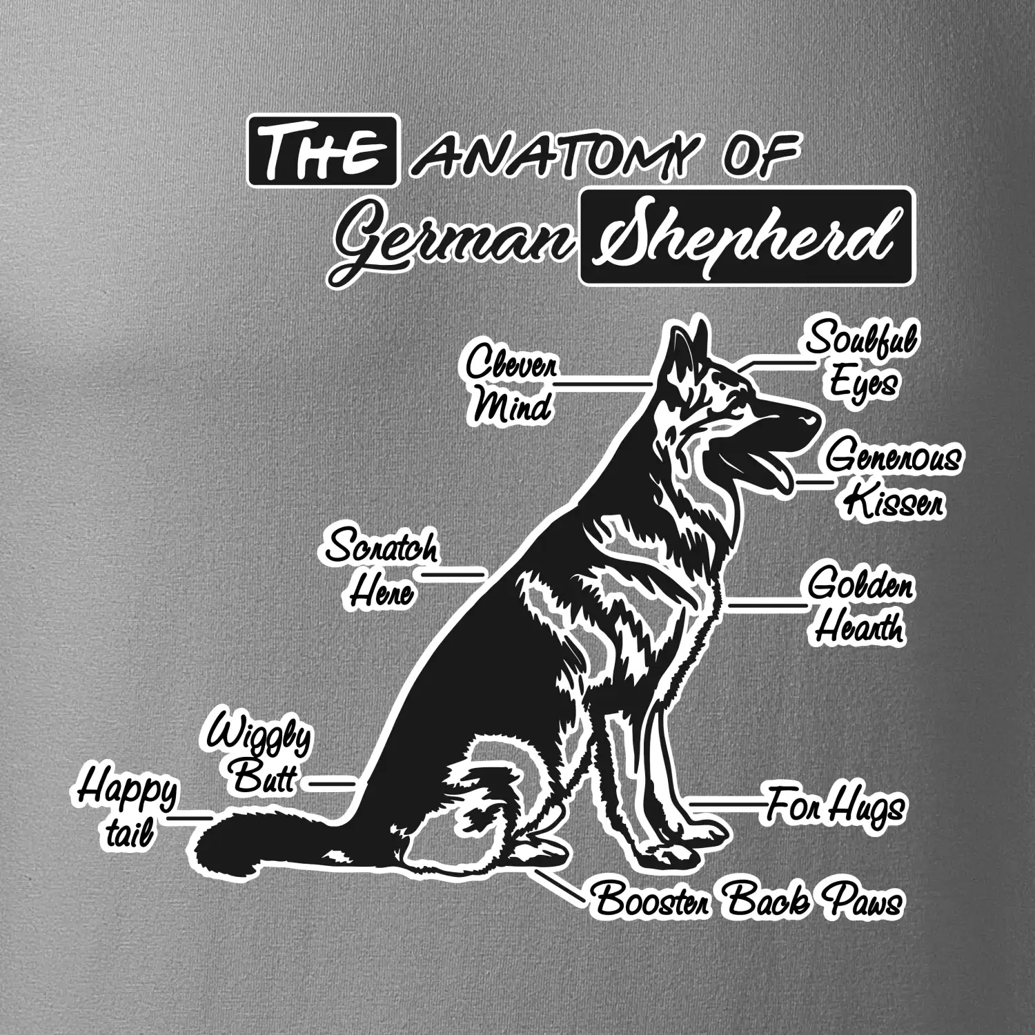 Německý ovčák - Anatomie