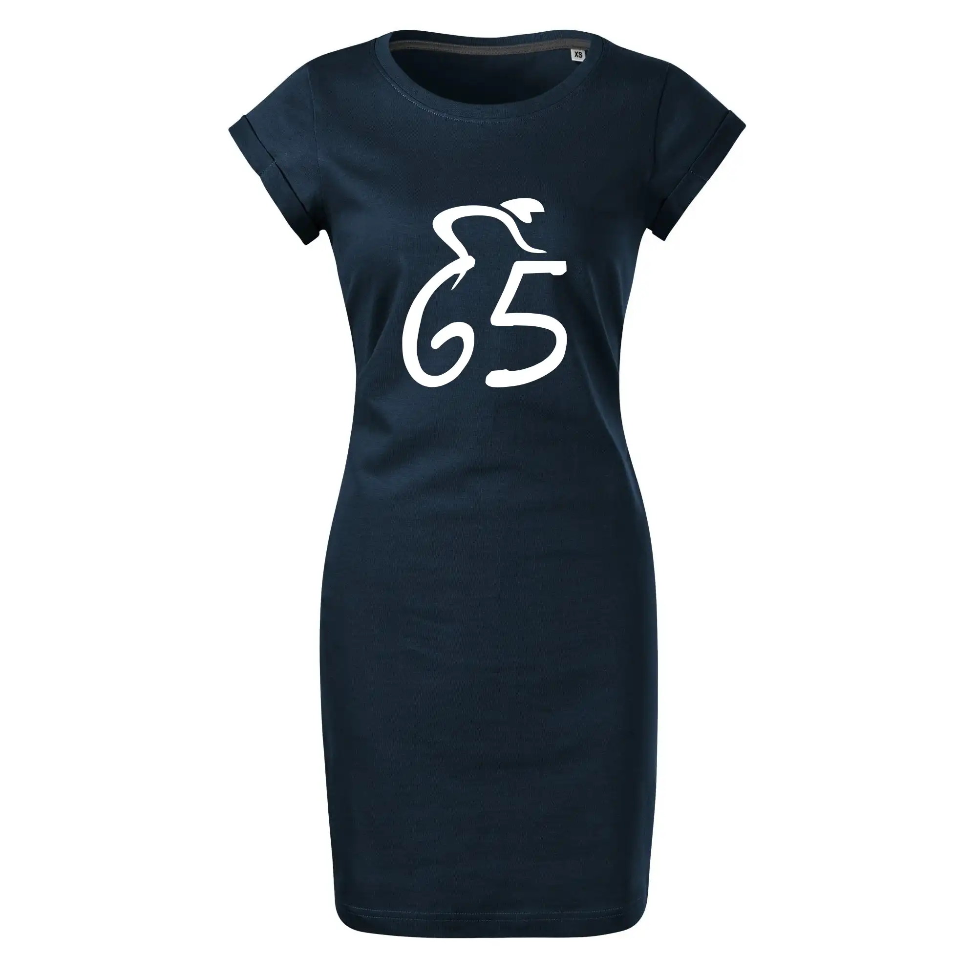 Cyklista slaví pětašedesátku (65)