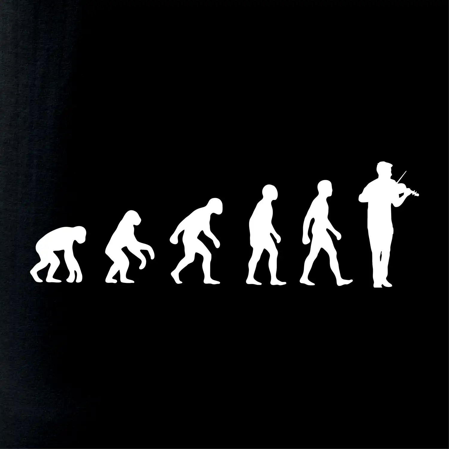 Evoluce houslista