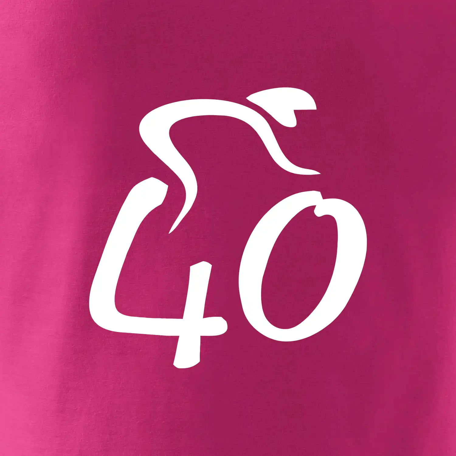 Cyklista slaví čtyřicítku (40)