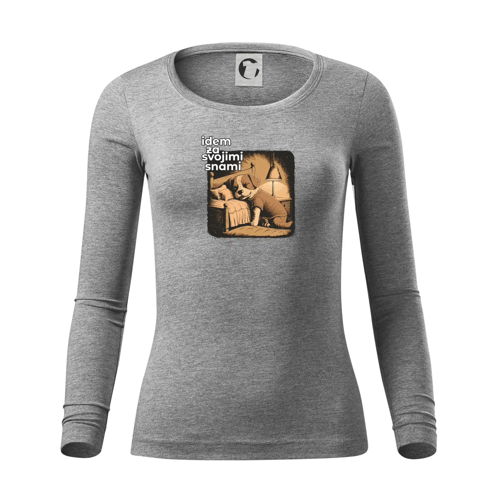 Idem za svojimi snami