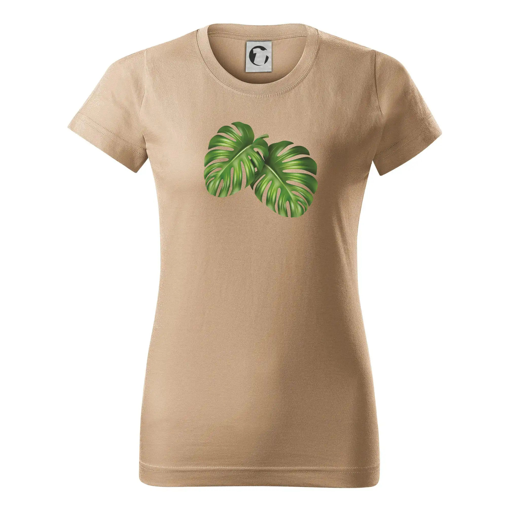 Monstera - dva listy
