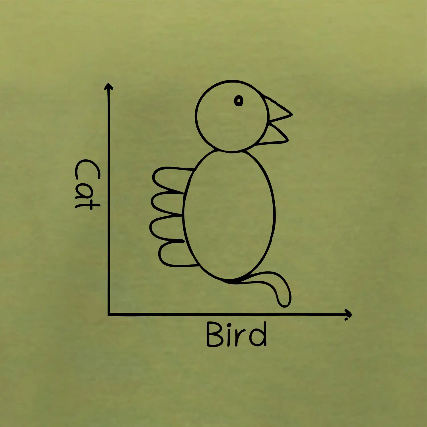 Cat bird diagram