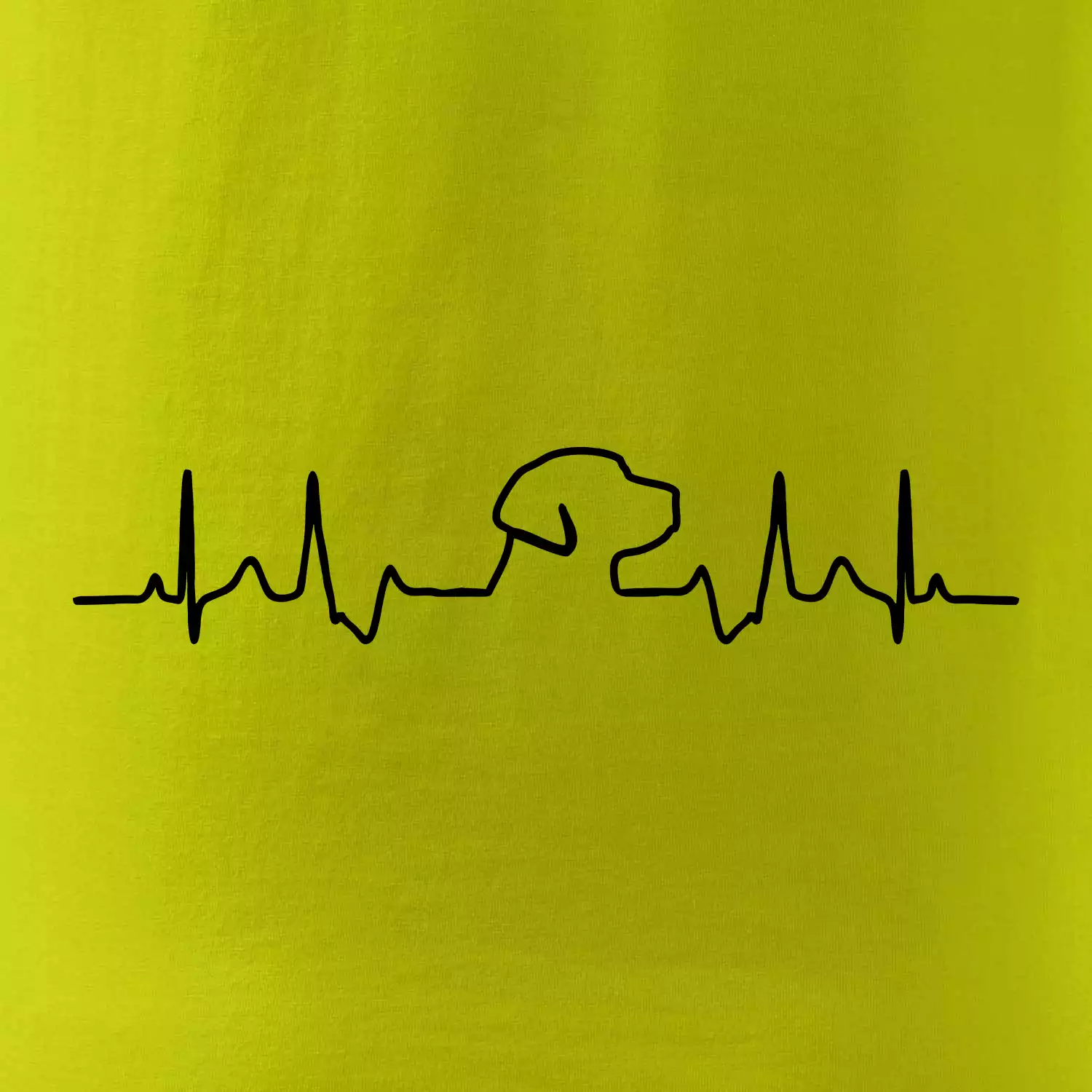 Labrador EKG
