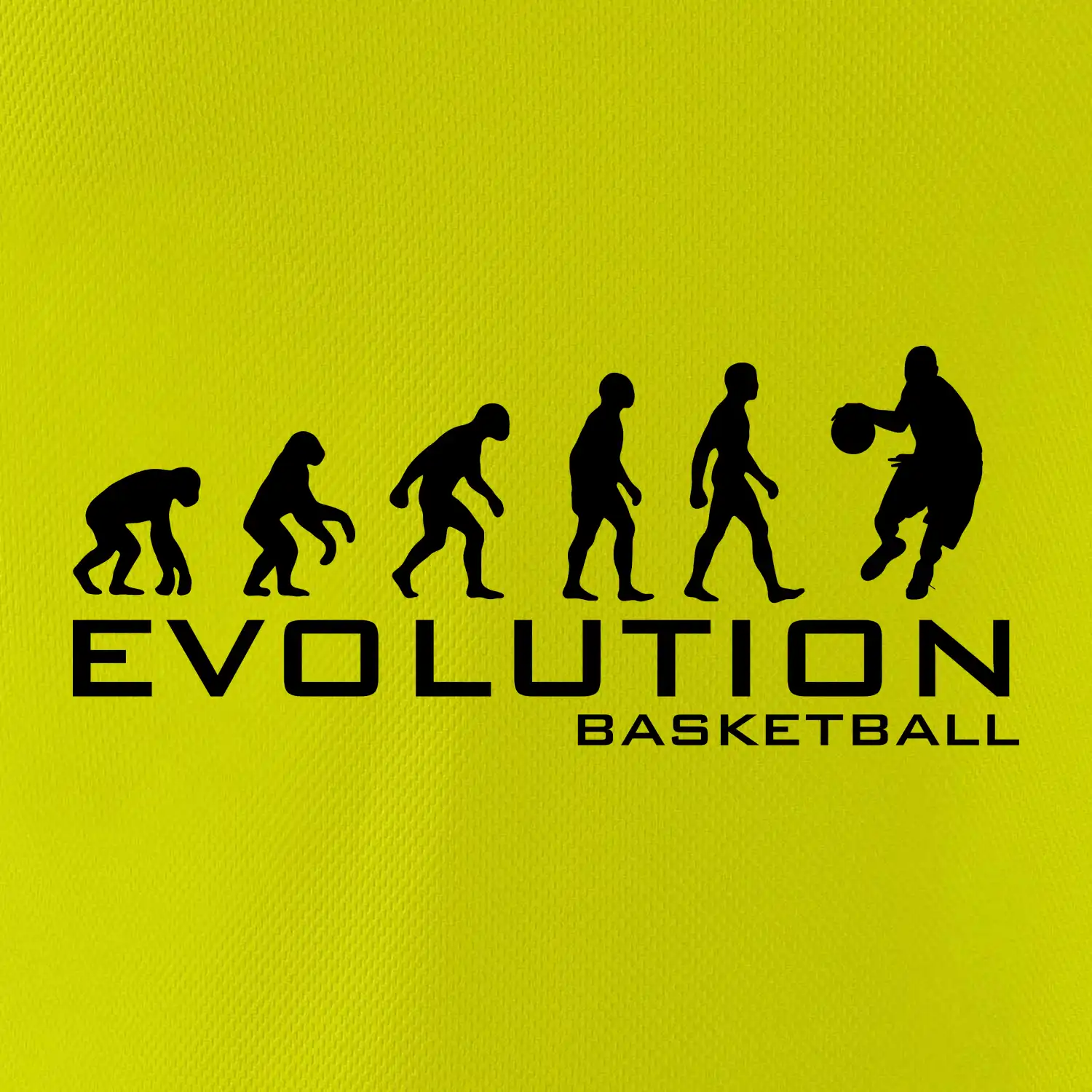 Evoluce Basketball