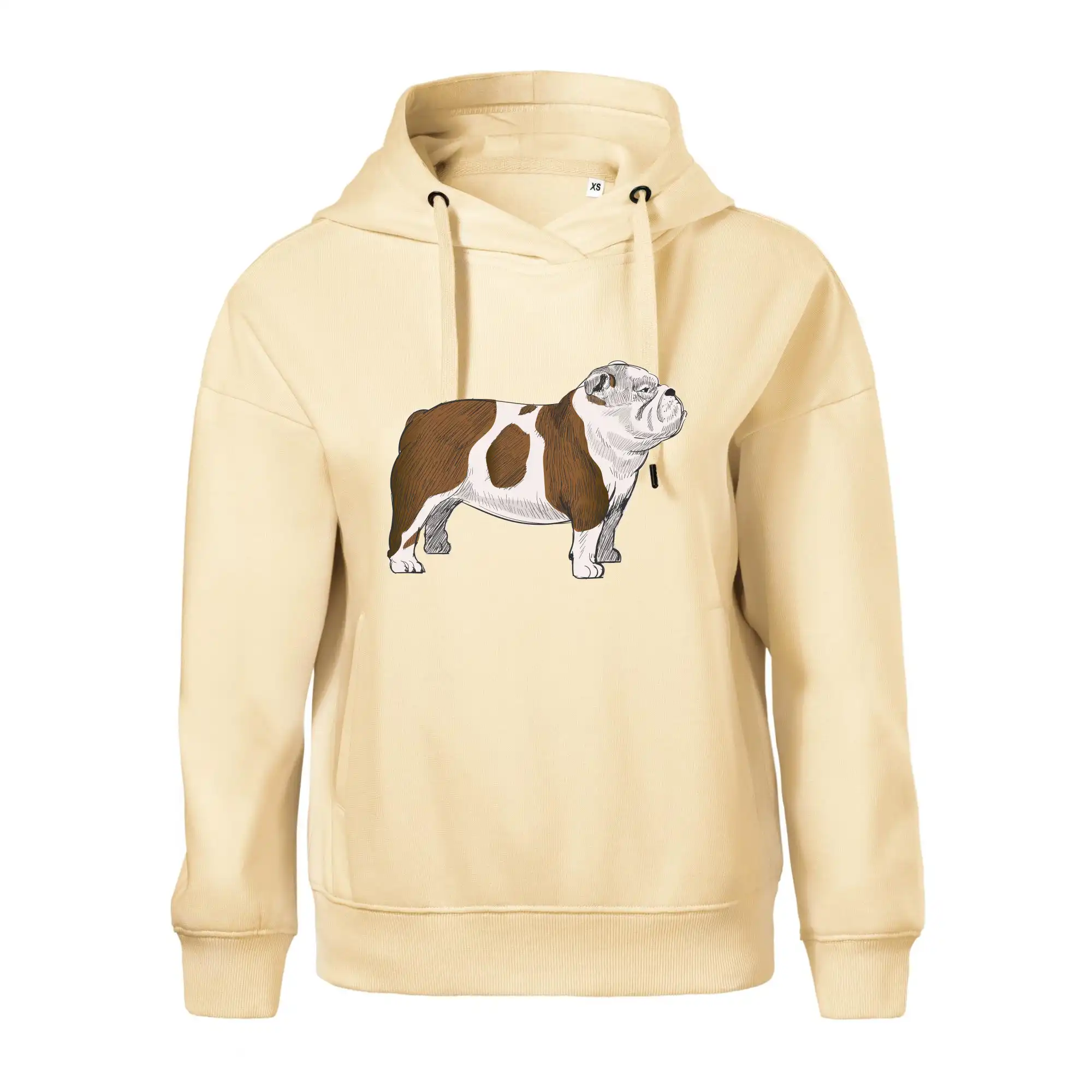 Vintage English bulldog