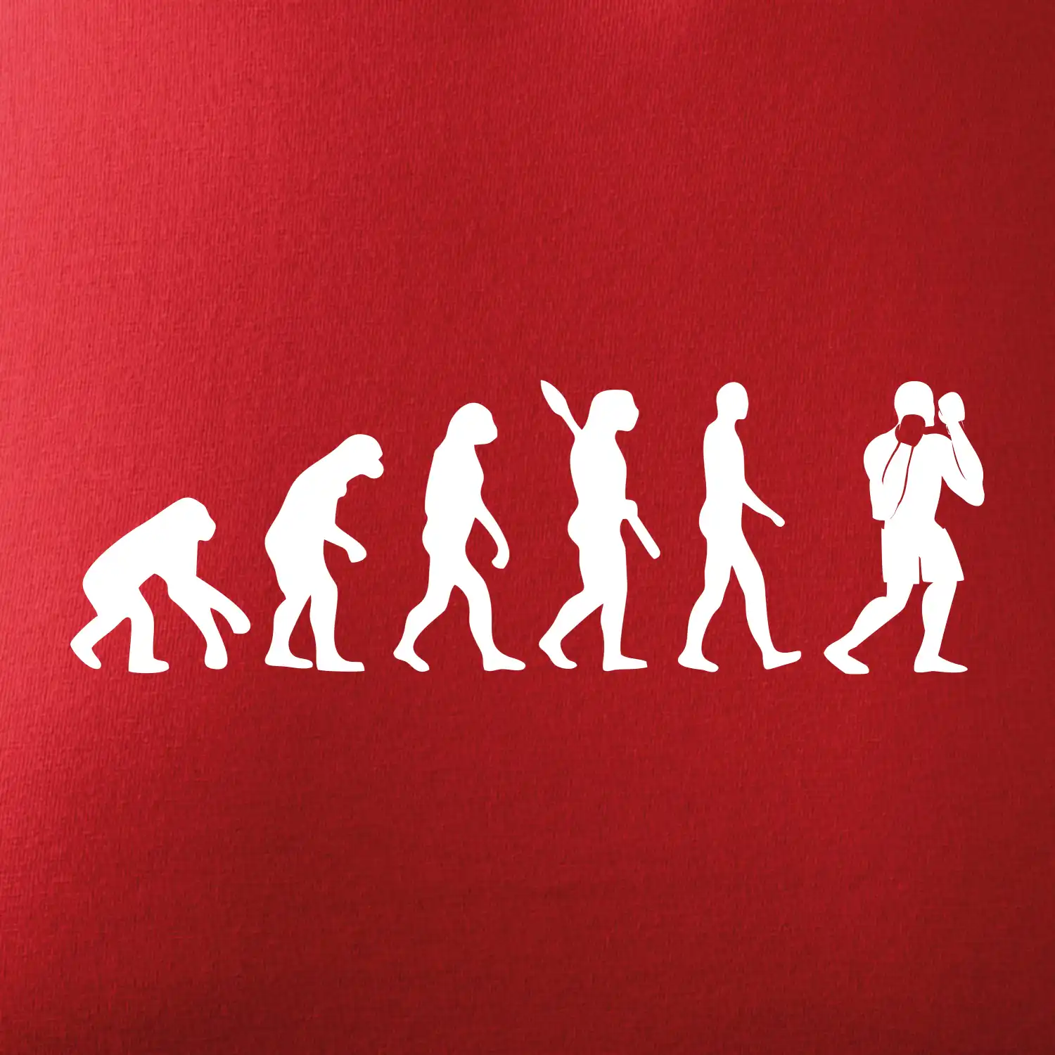 Evoluce box