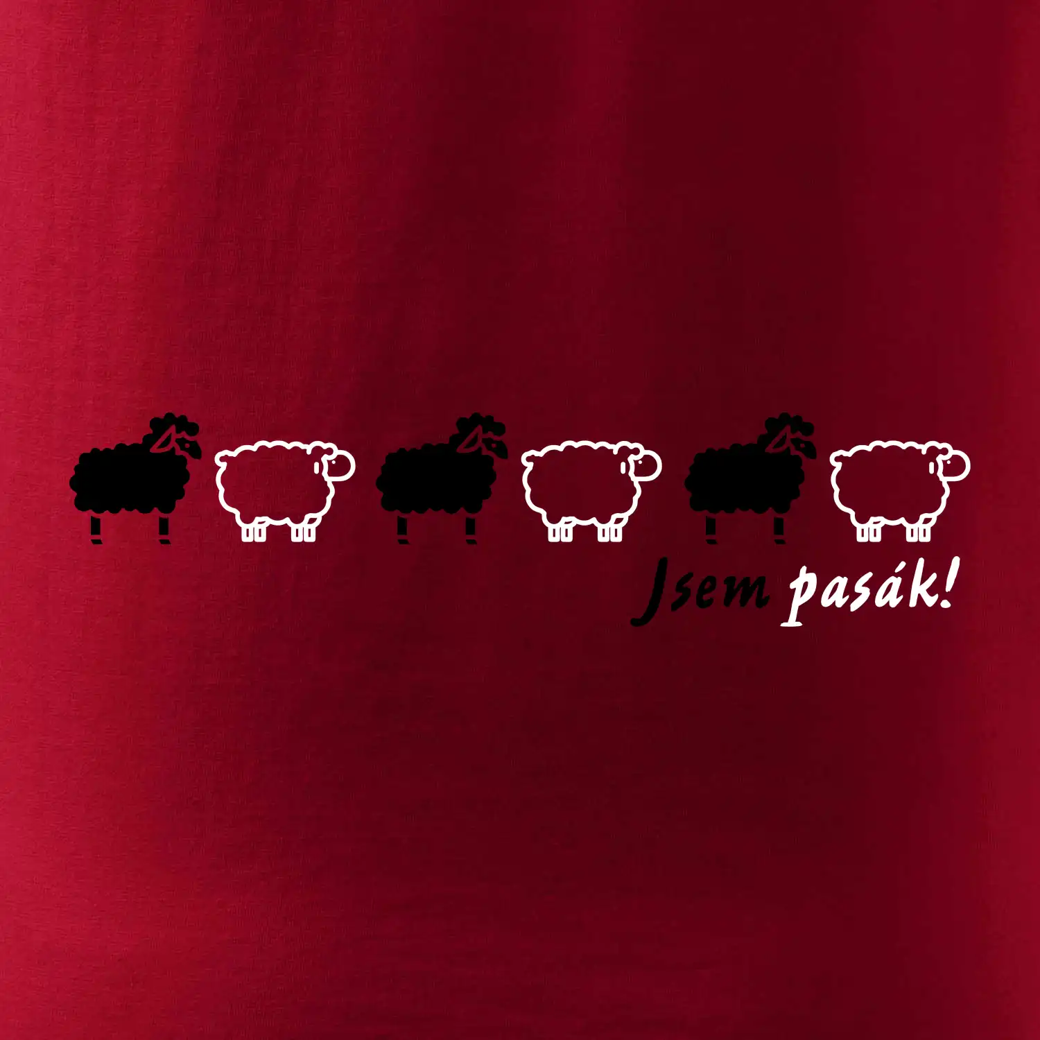 Jsem pasák - ovce v řadě