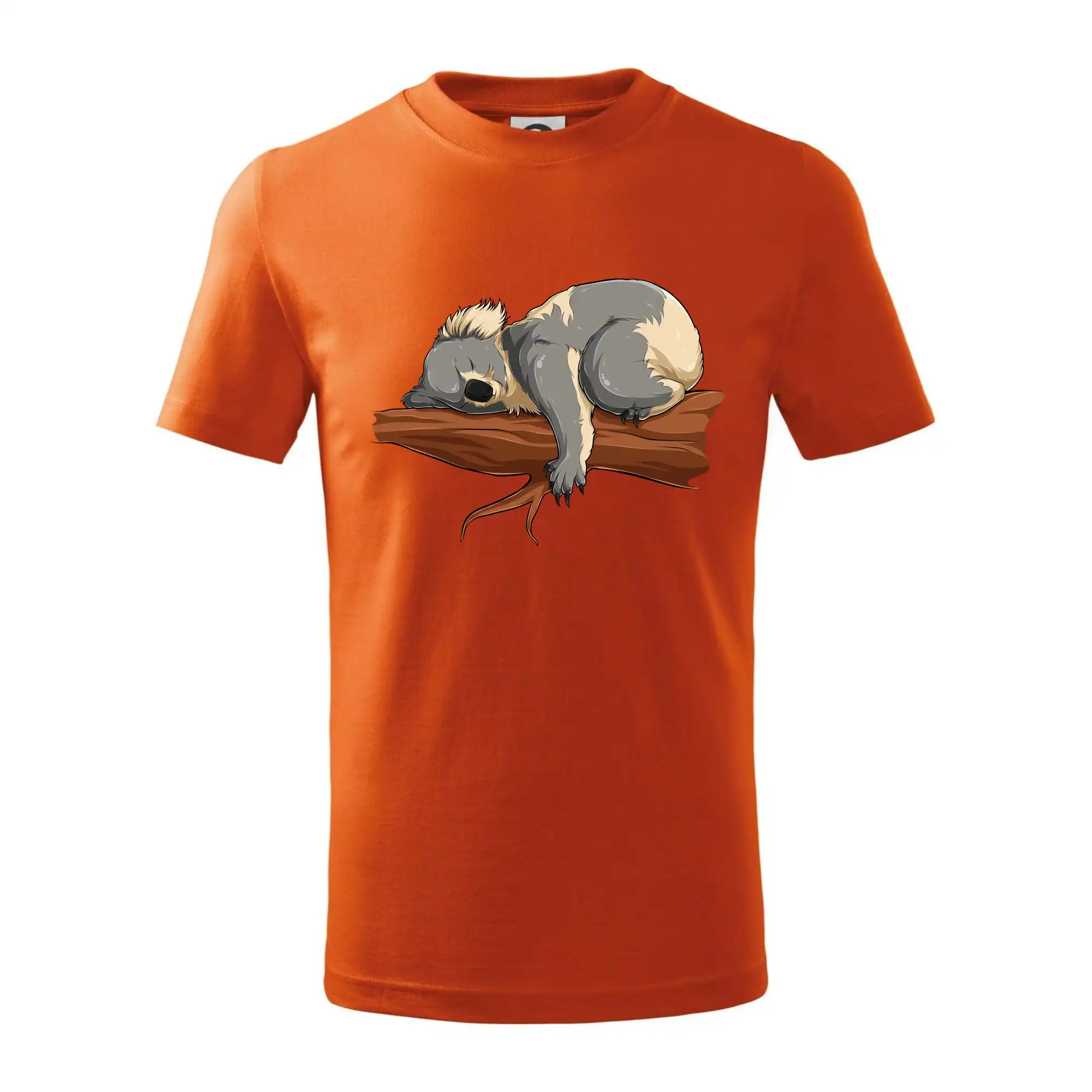 Koala na větvi