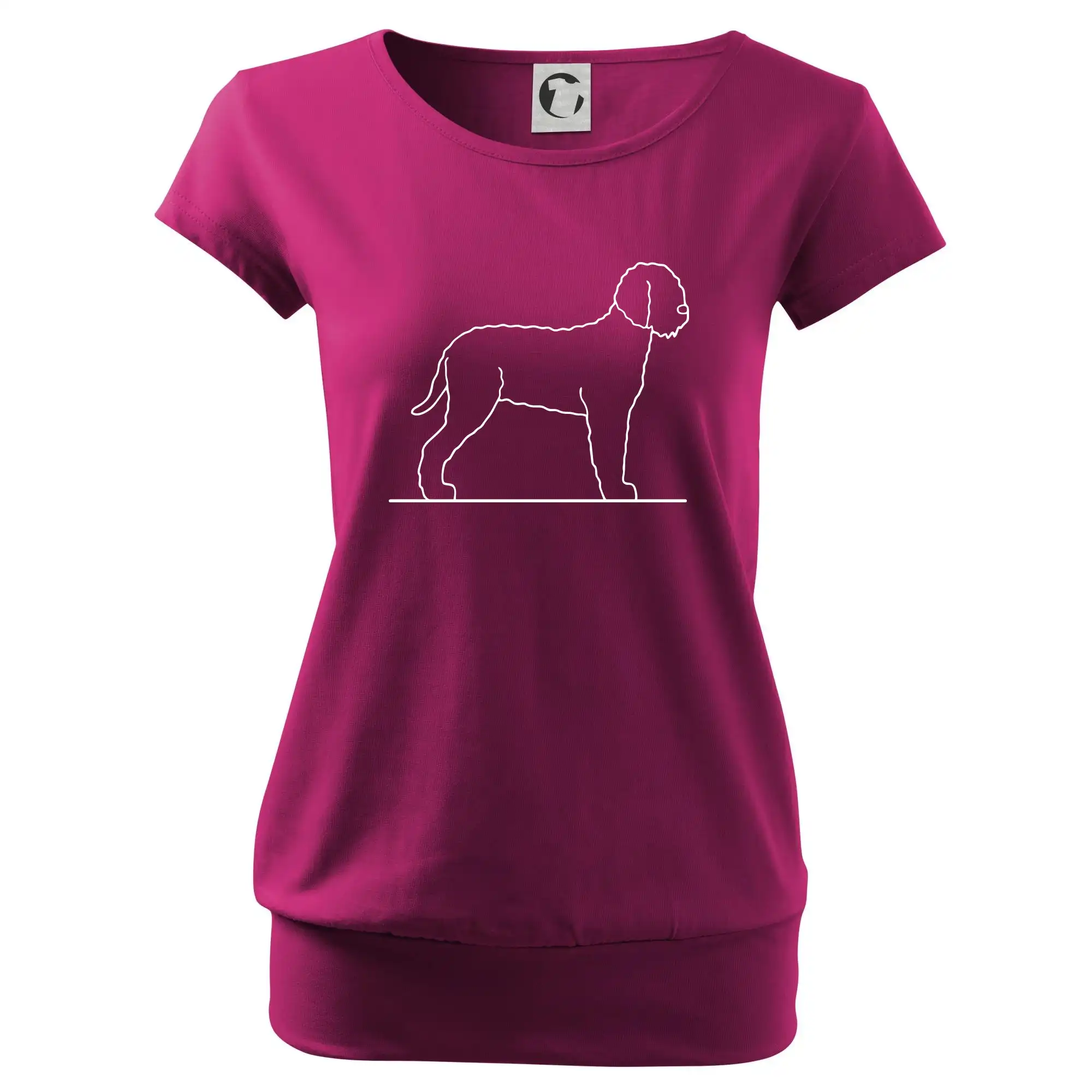 Lagotto romagnolo stojící