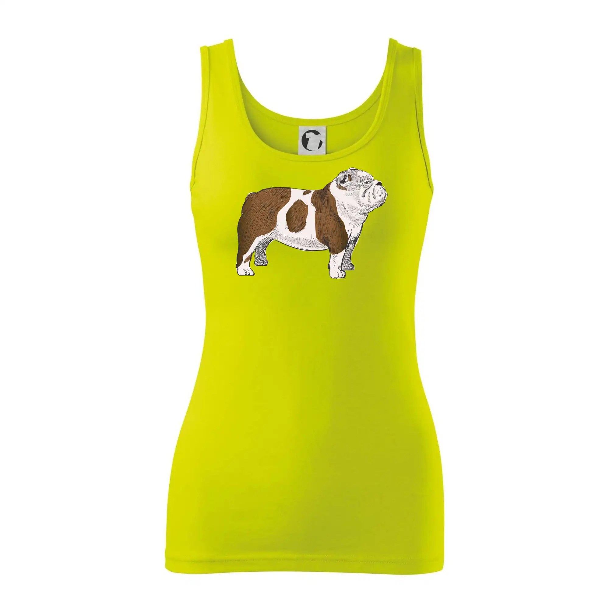 Vintage English bulldog