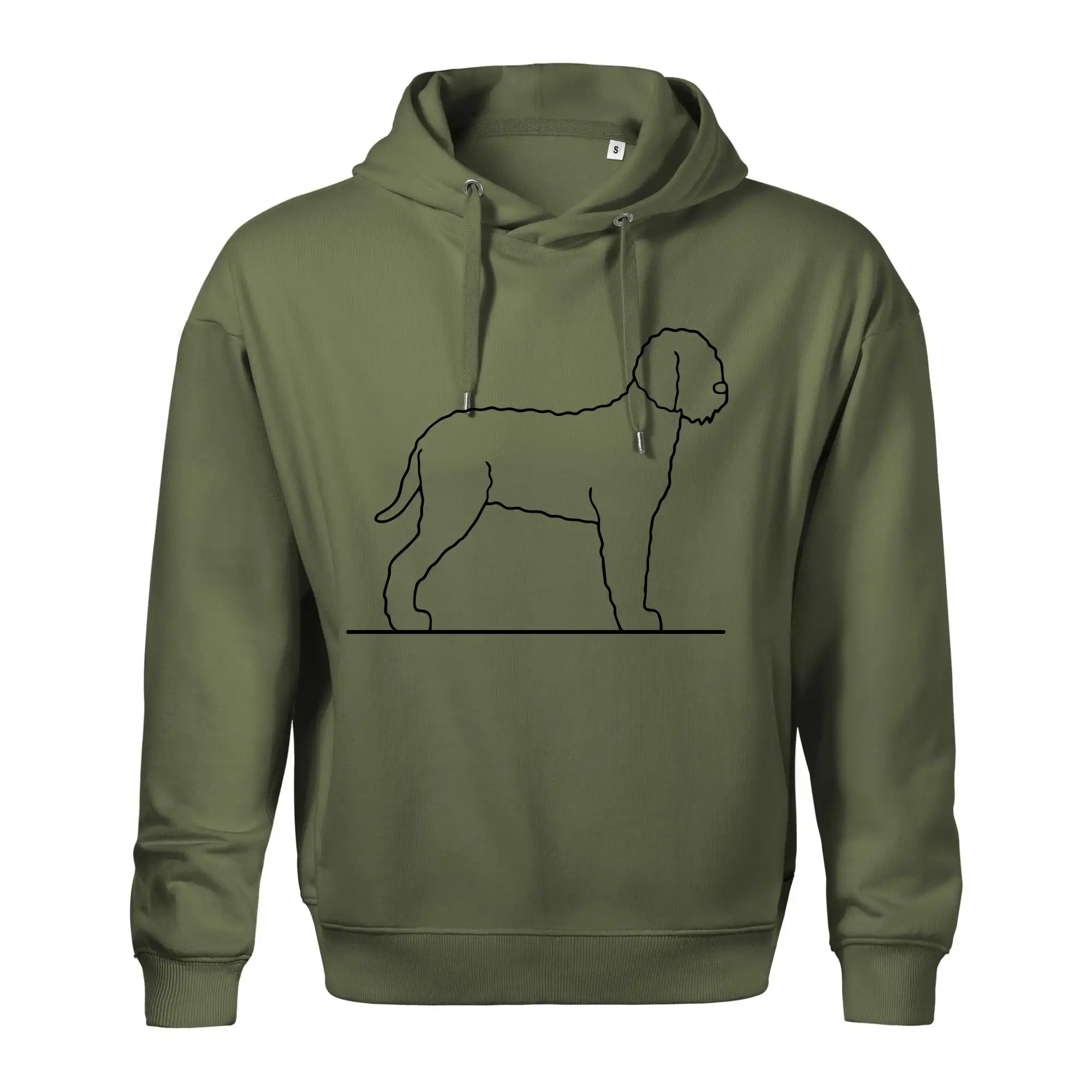 Lagotto romagnolo stojící