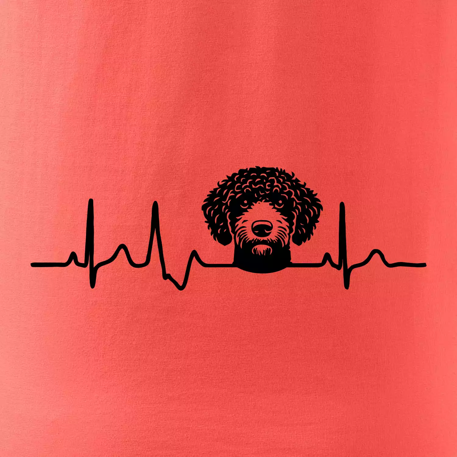 Lagotto romagnolo hlava EKG