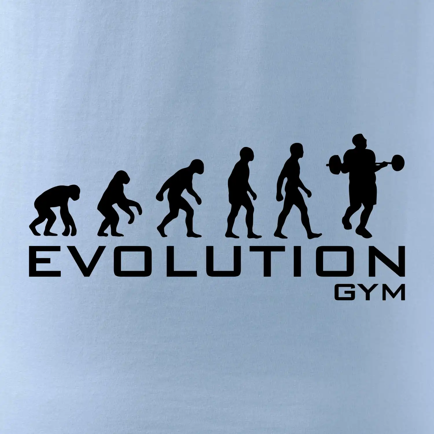 Evoluce Gym