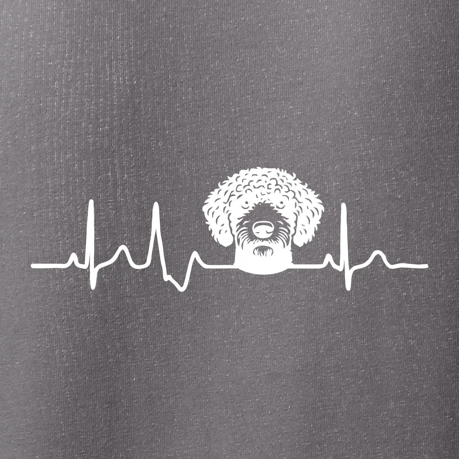 Lagotto romagnolo hlava EKG