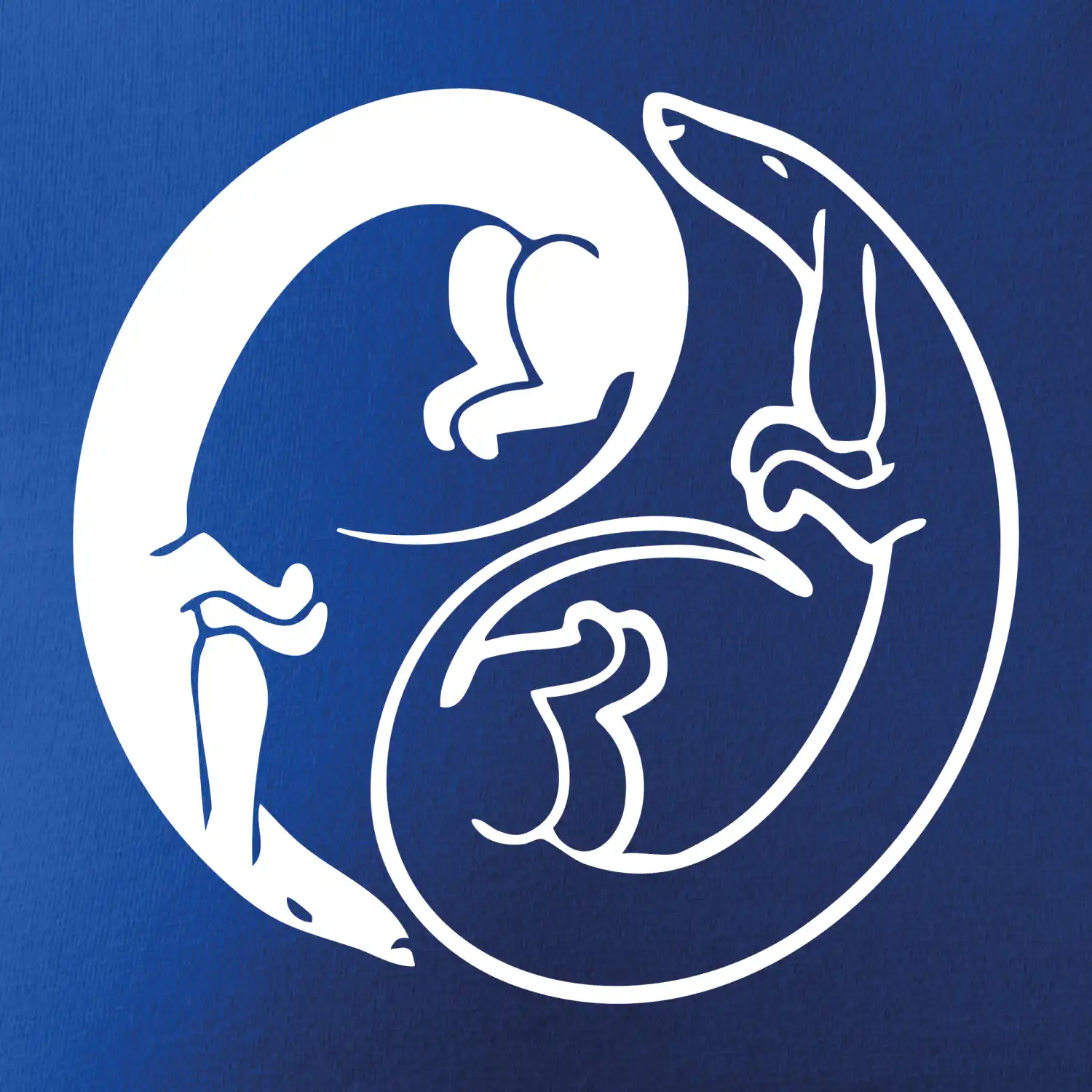 Jezevčíci - Jin jang