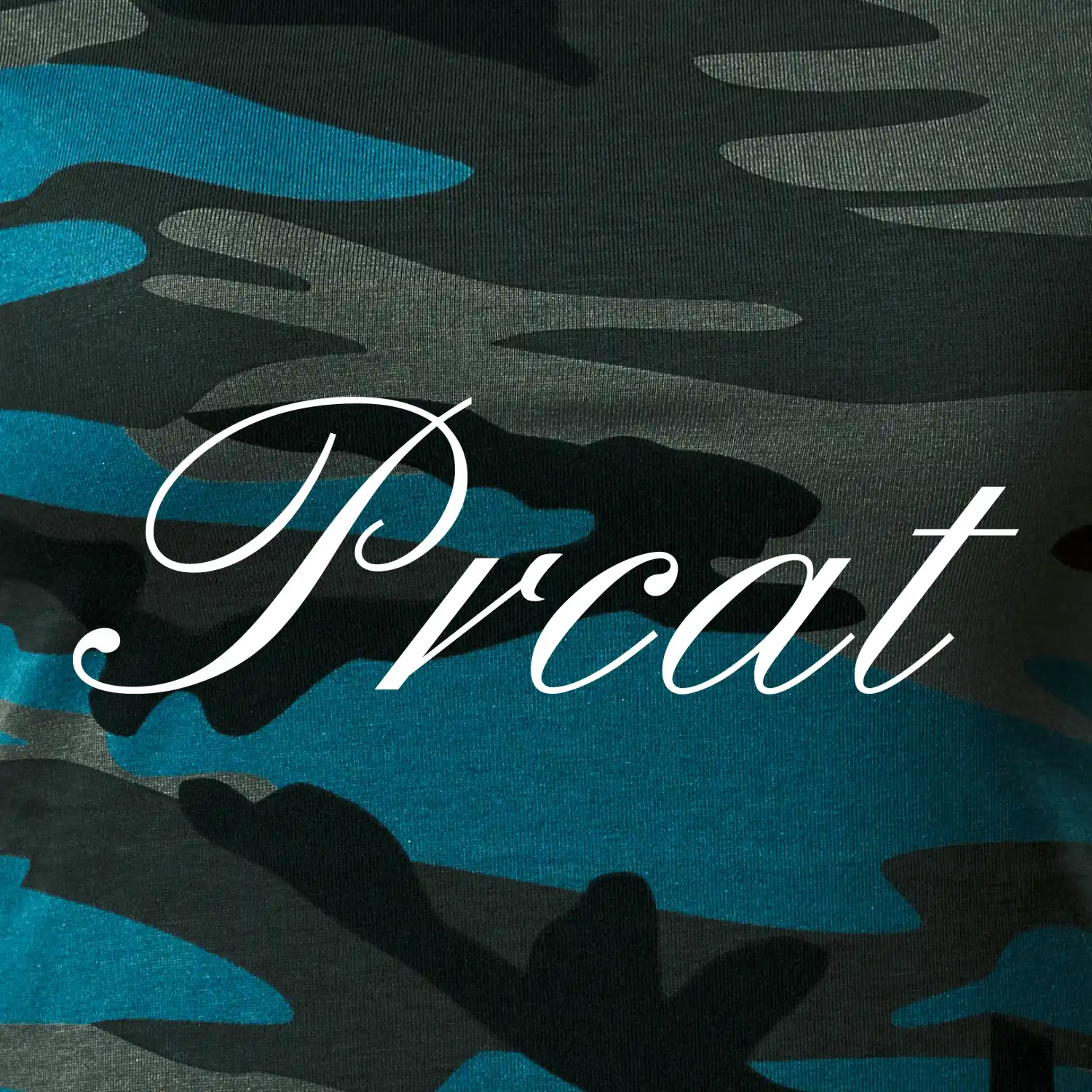 Prcat (souložit vulgárně)