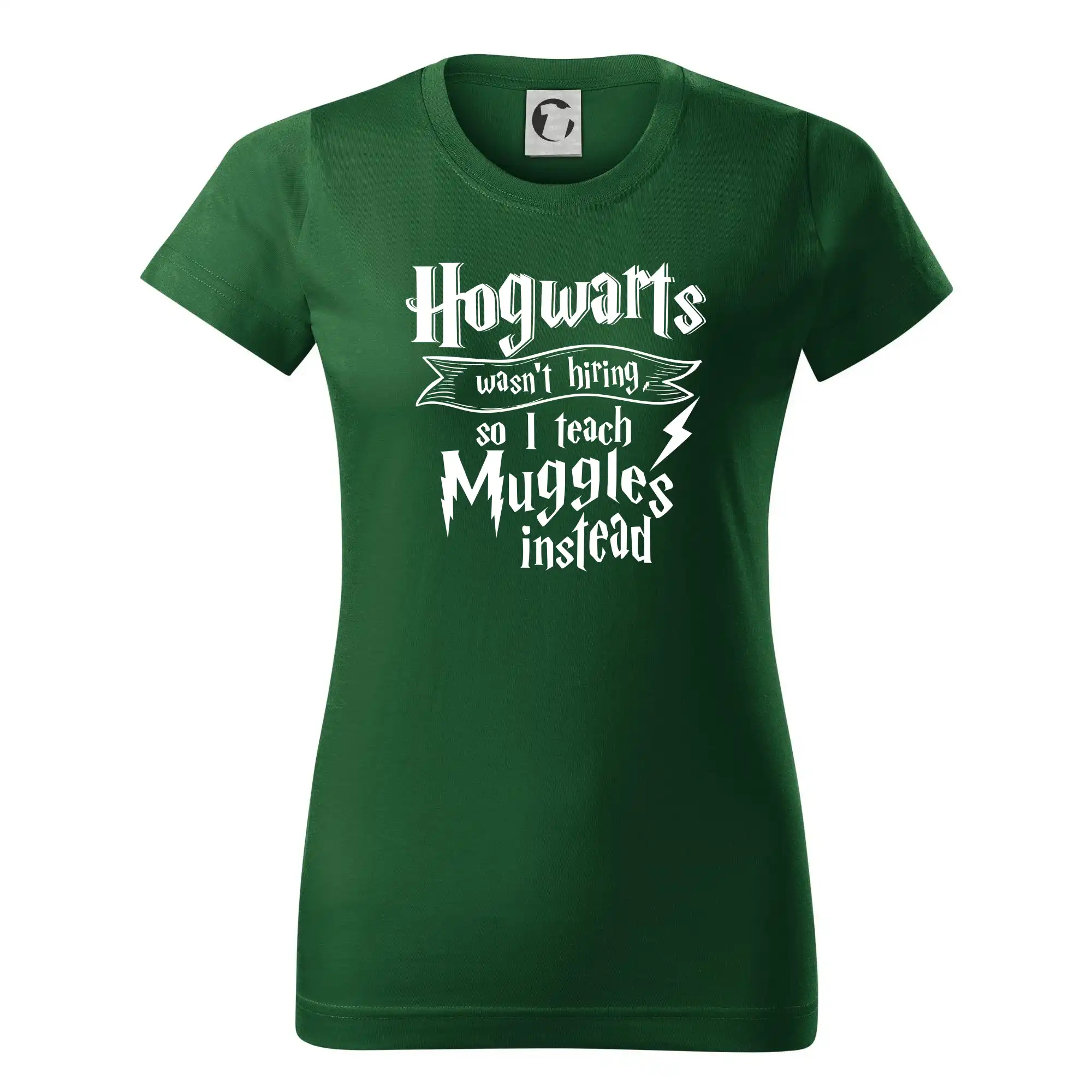 Harry - Hogwarts wasn’t hiring, so I teach Muggles instead