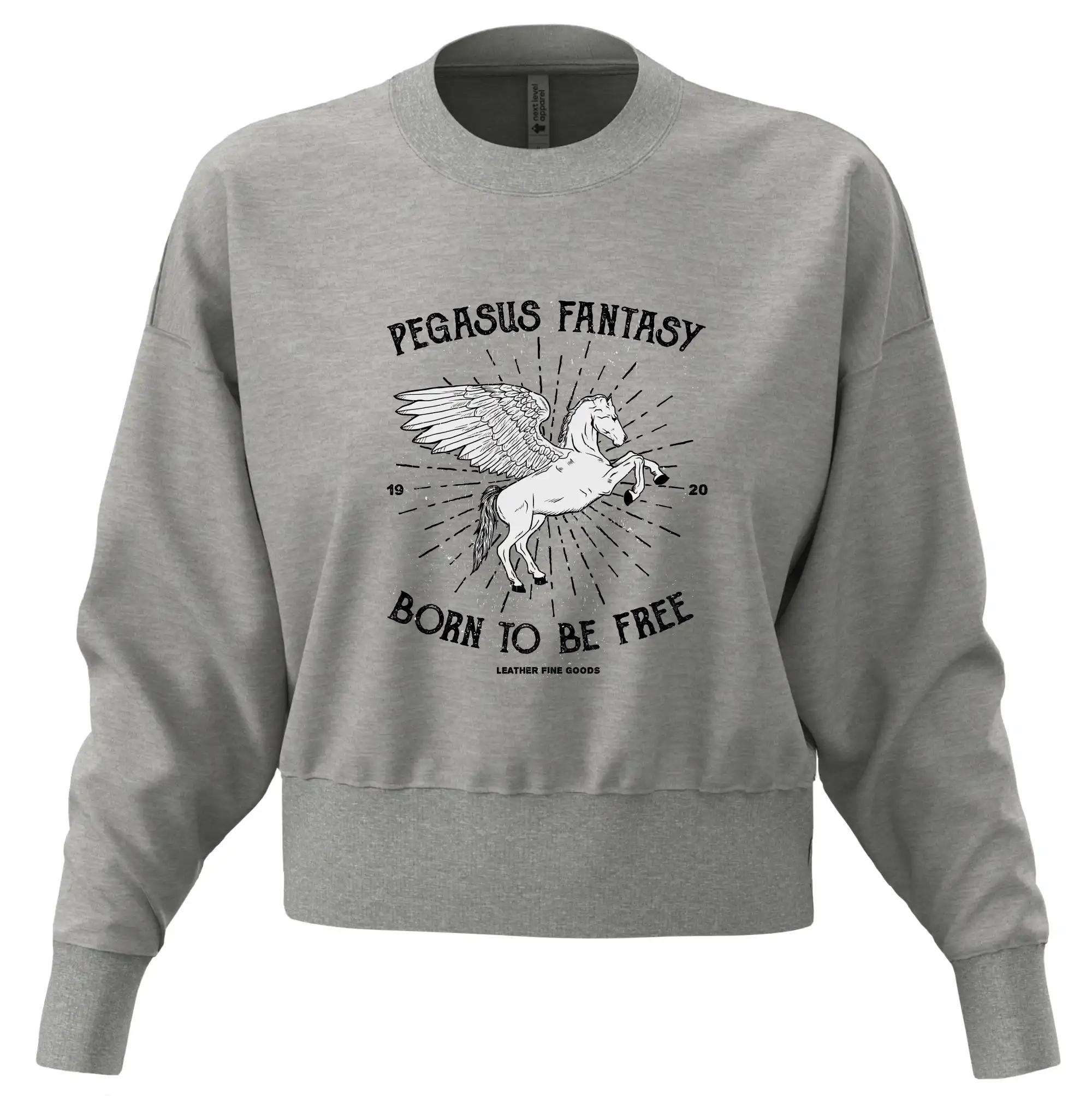 Pegasus fantasy